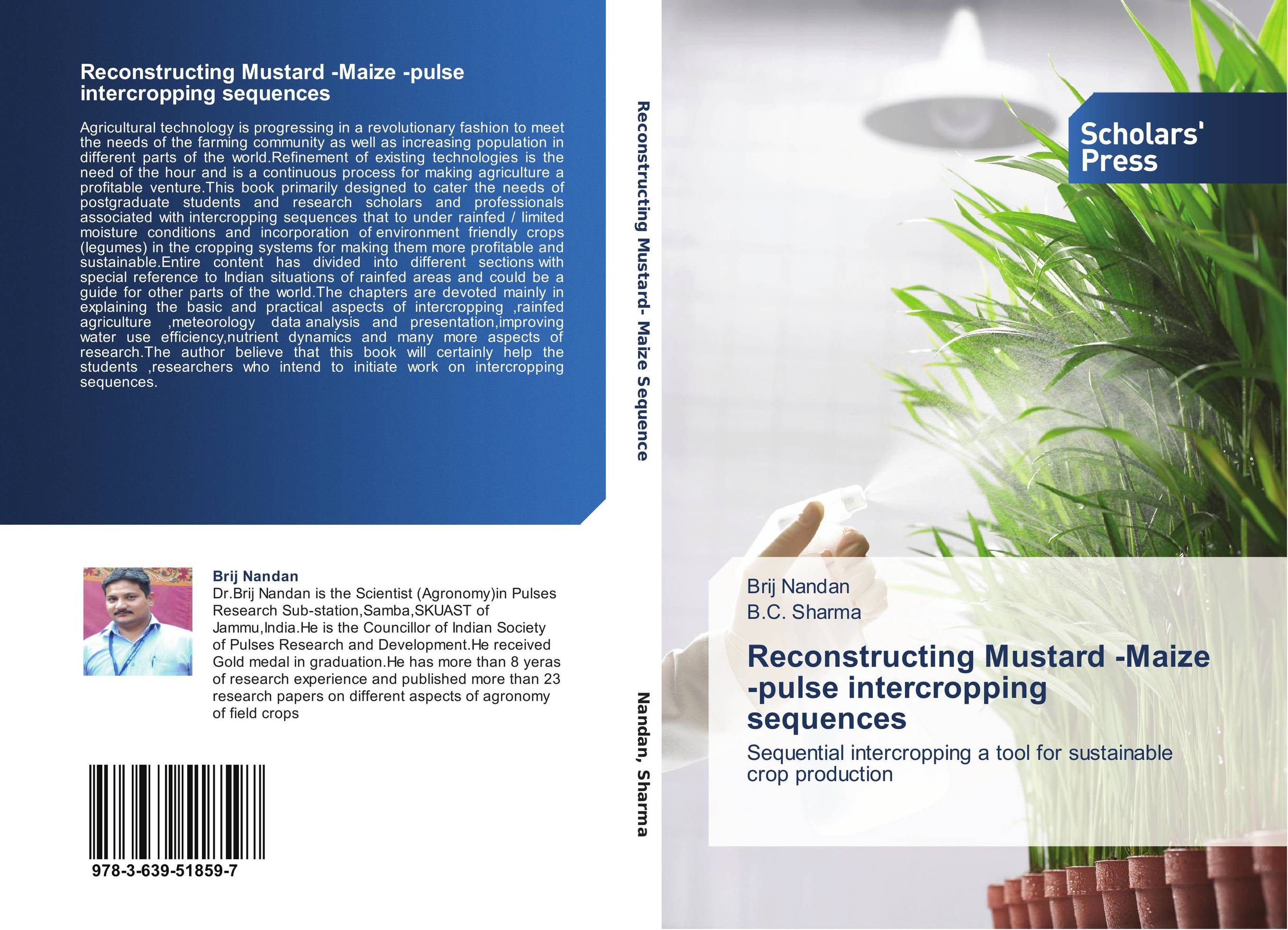 Reconstructing Mustard -Maize -pulse intercropping sequences. Sequential intercropping a tool for sustainable crop production.