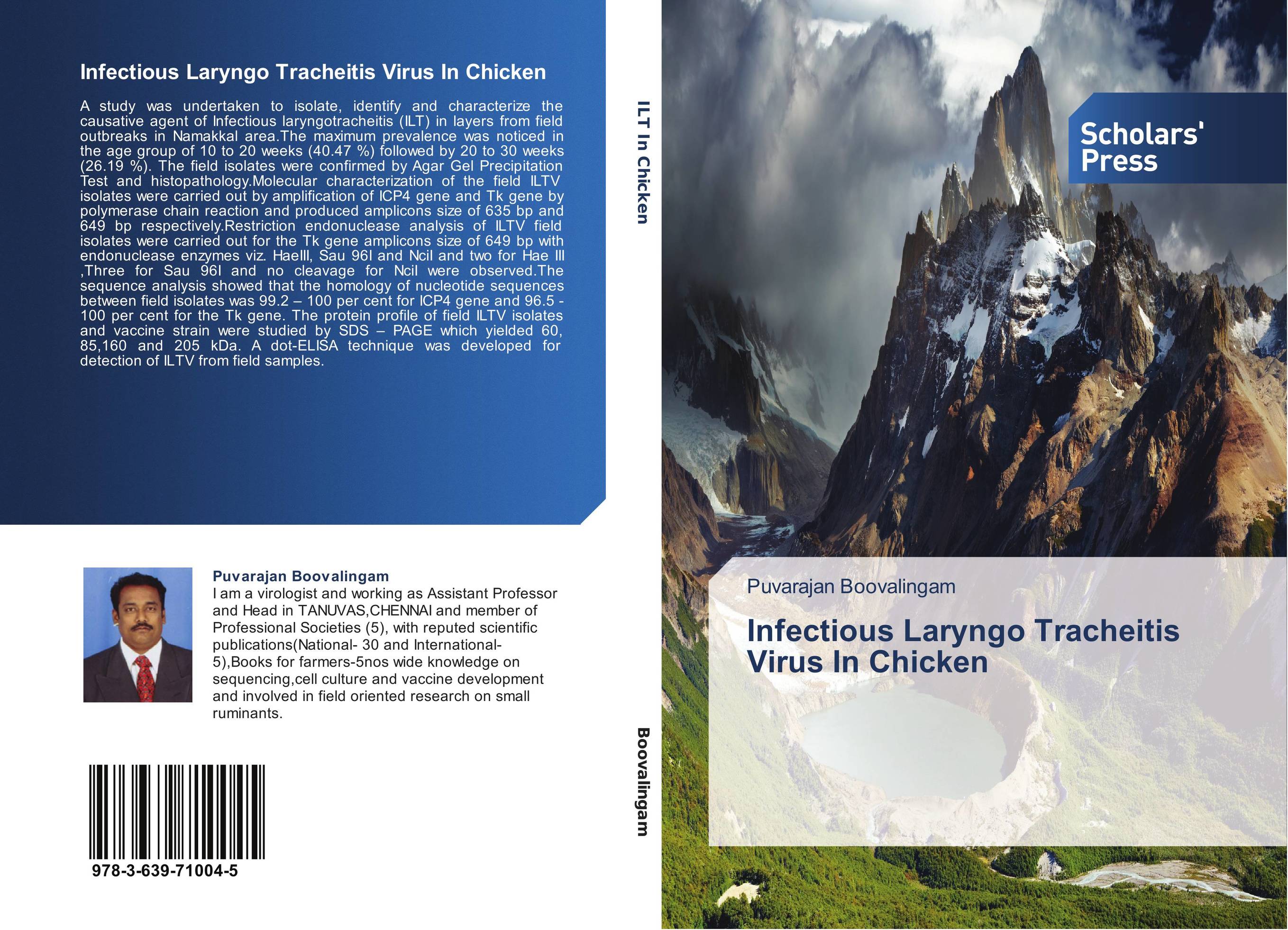 Infectious Laryngo Tracheitis Virus In Chicken..