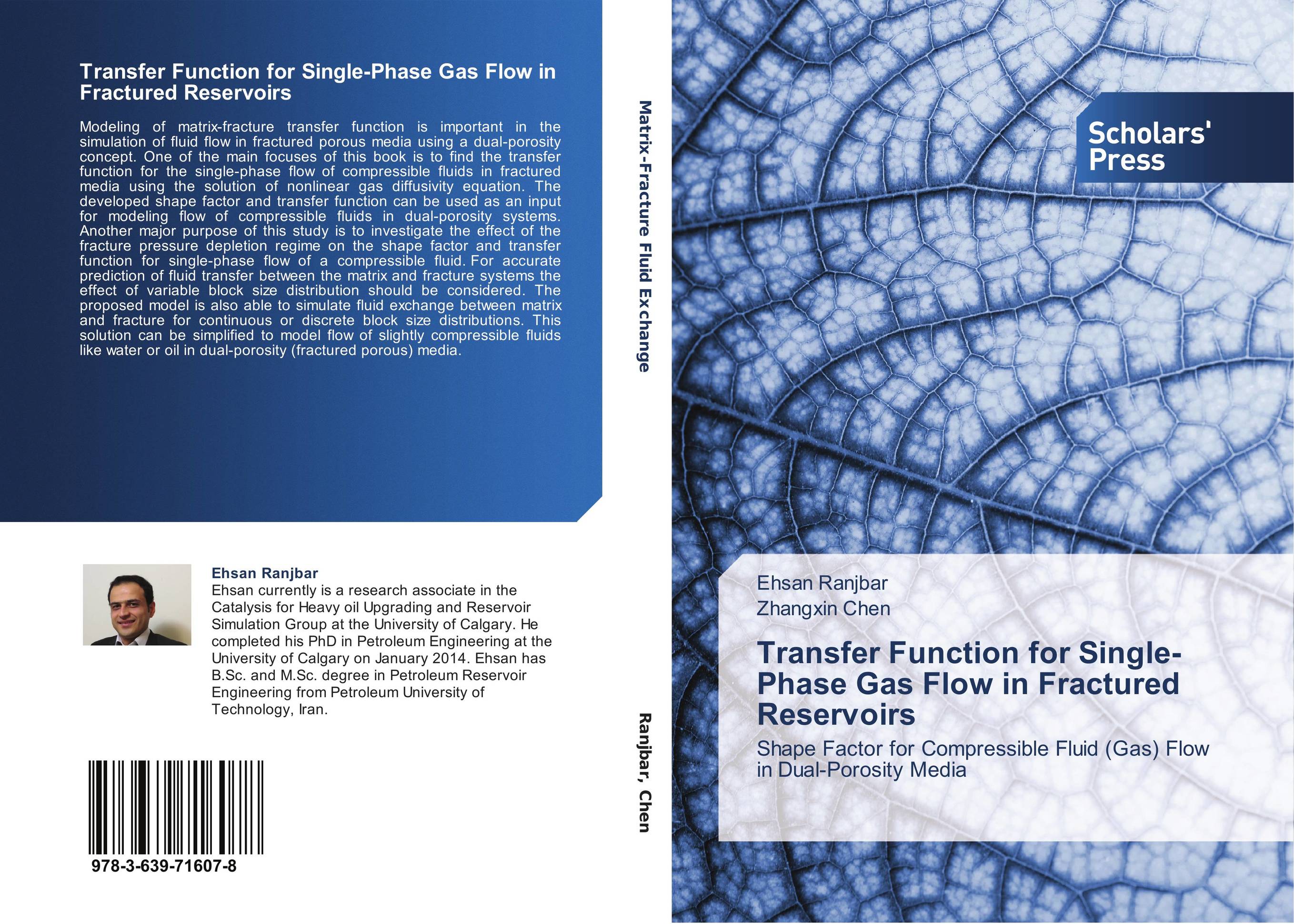 Transfer Function for Single-Phase Gas Flow in Fractured Reservoirs. Shape Factor for Compressible Fluid (Gas) Flow in Dual-Porosity Media.