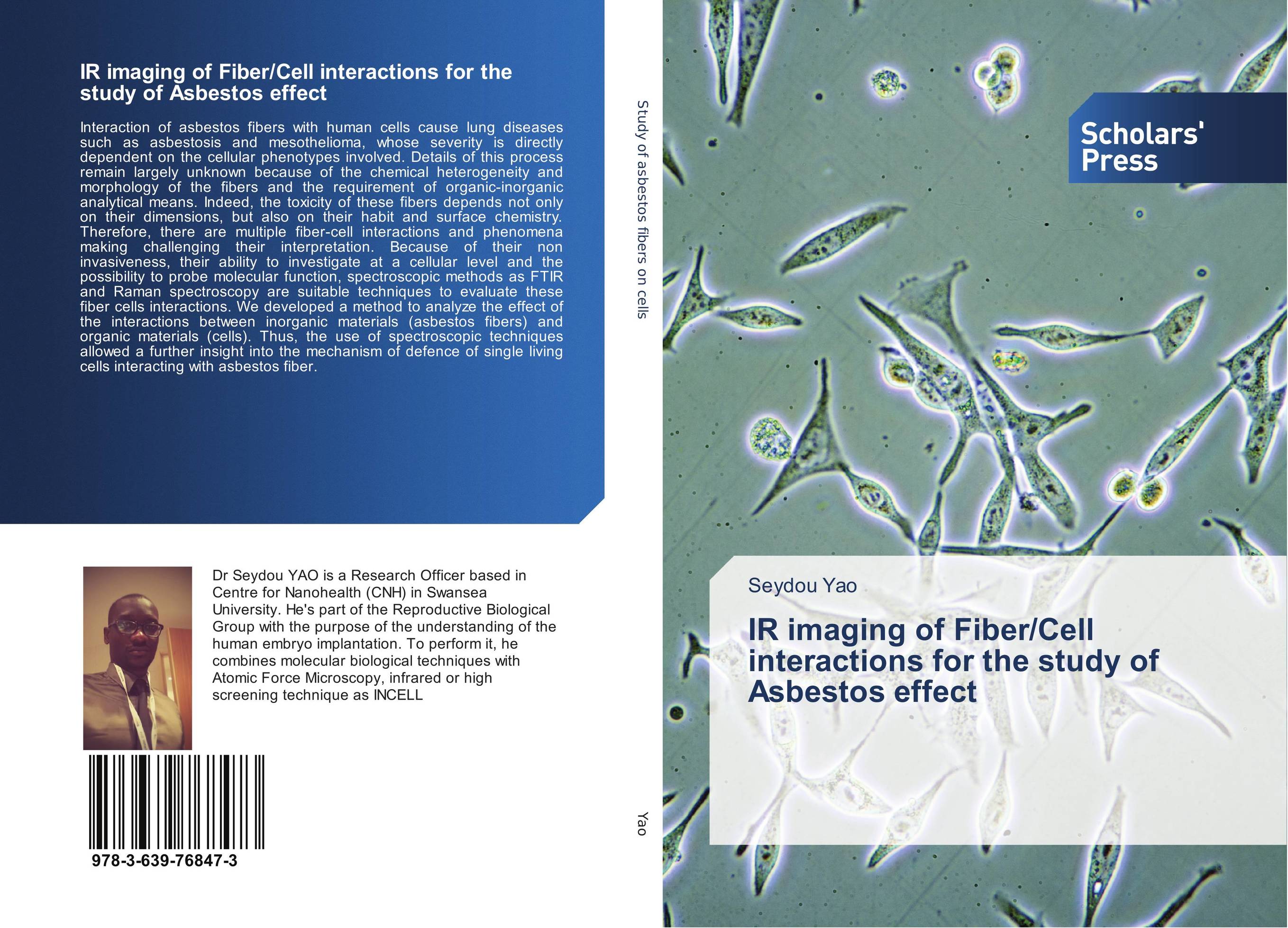 IR imaging of Fiber/Cell interactions for the study of Asbestos effect..