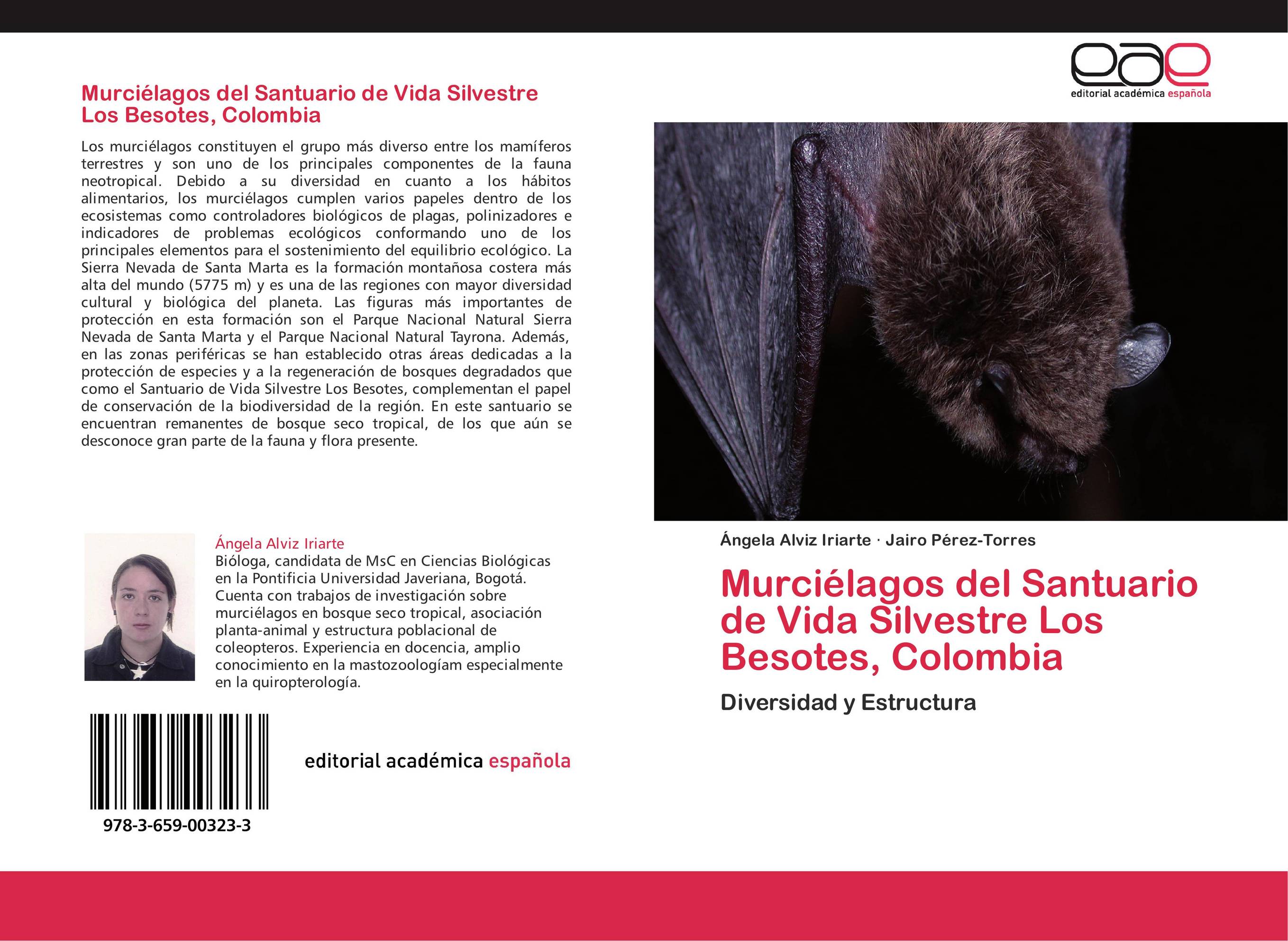 Murciélagos del Santuario de Vida Silvestre Los Besotes, Colombia