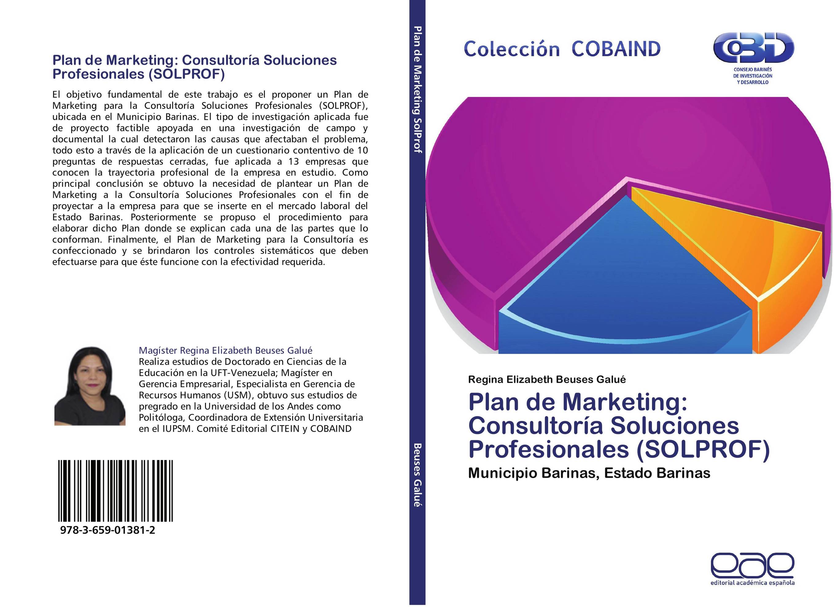 Plan de Marketing: Consultoría Soluciones Profesionales (SOLPROF)