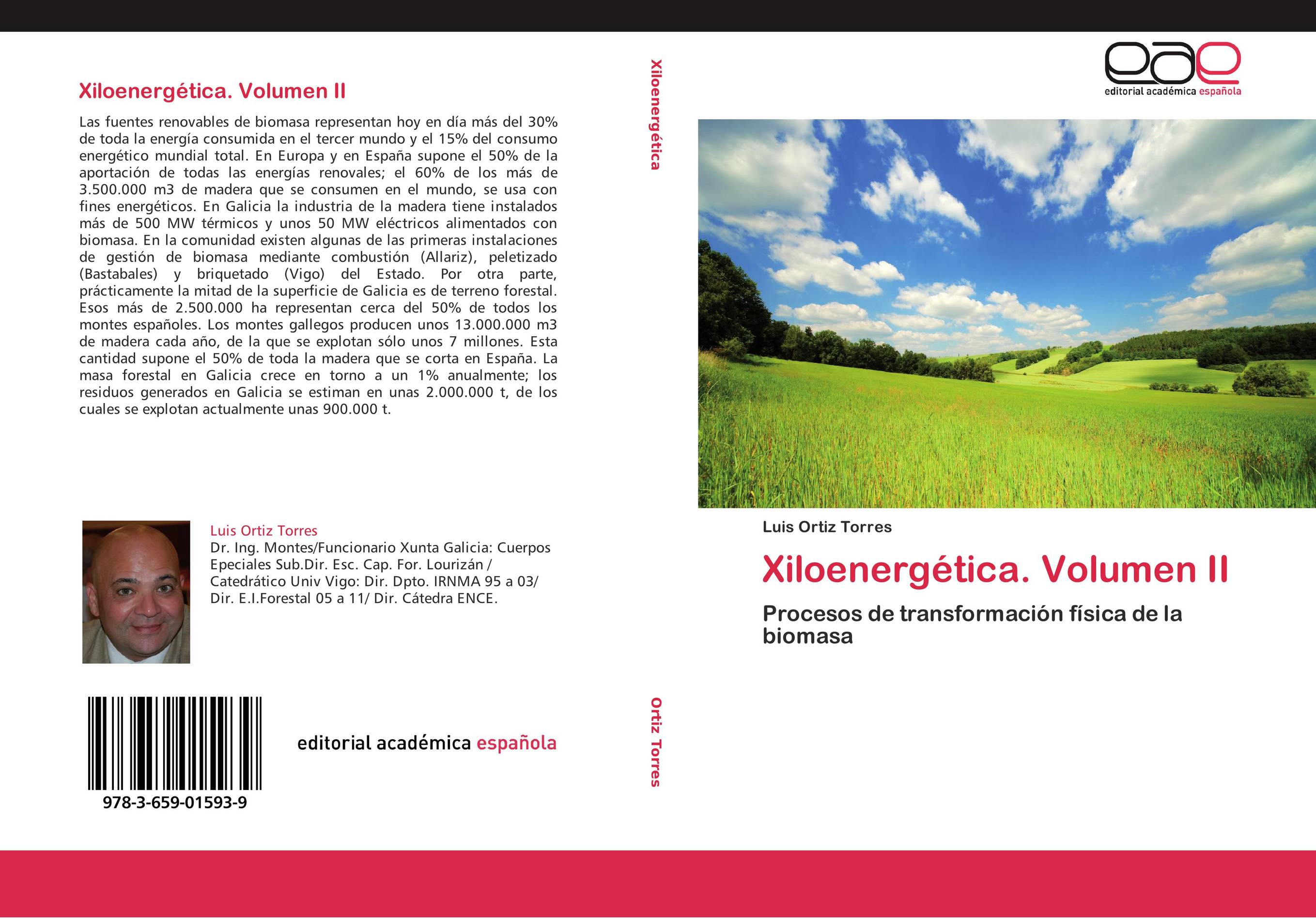 Xiloenergética. Volumen II