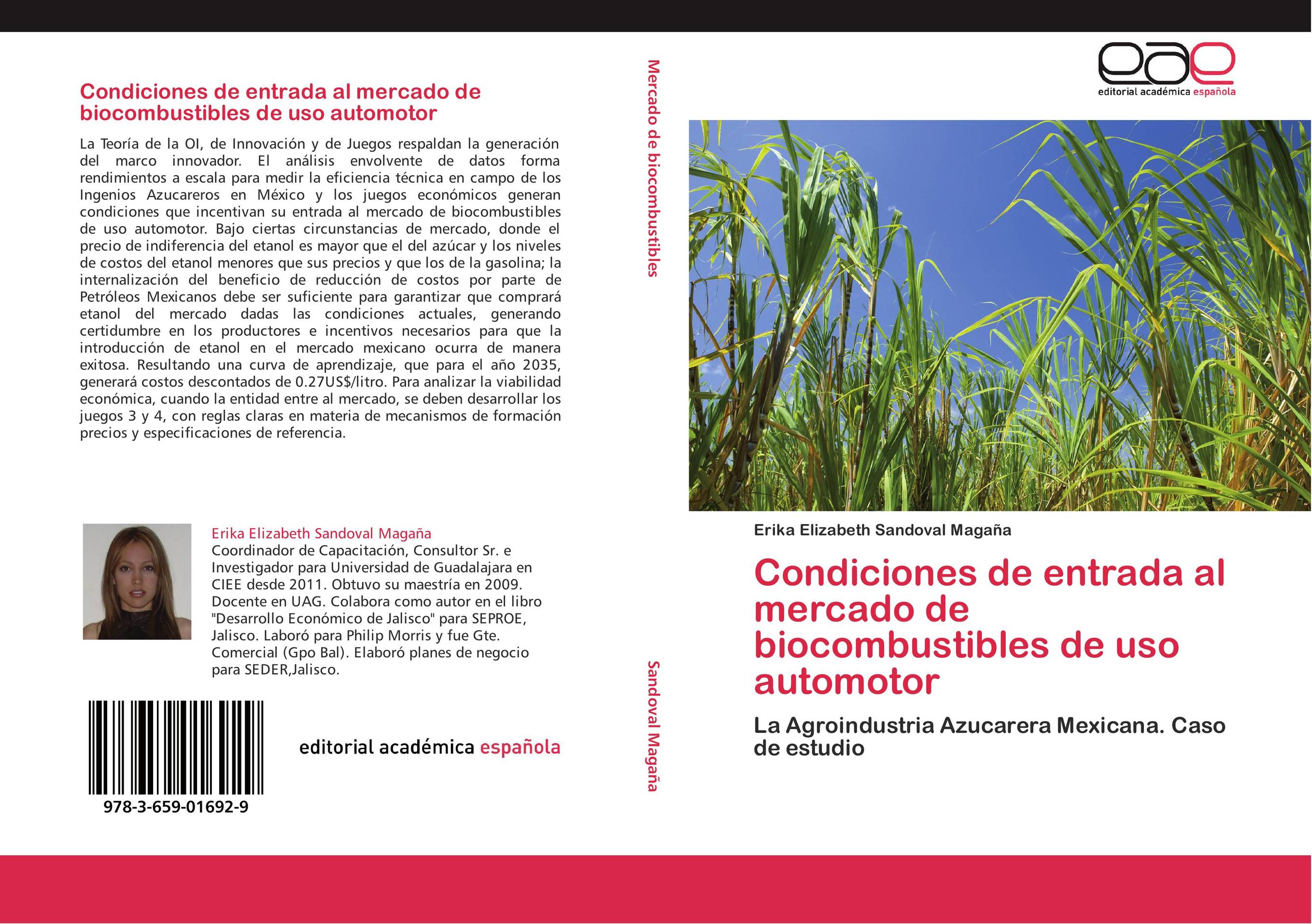 Condiciones de entrada al mercado de biocombustibles de uso automotor