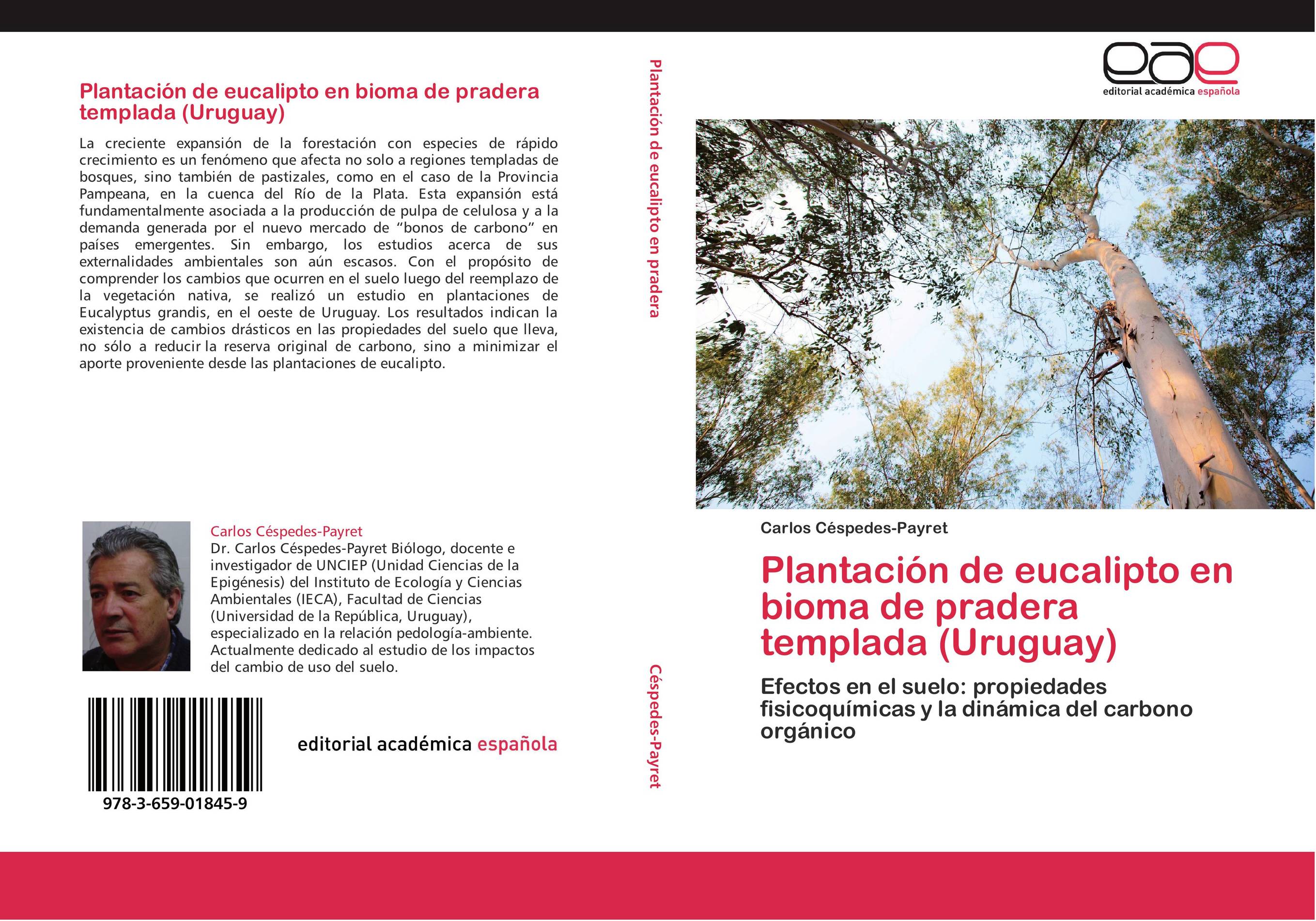 Plantación de eucalipto en bioma de pradera templada (Uruguay)