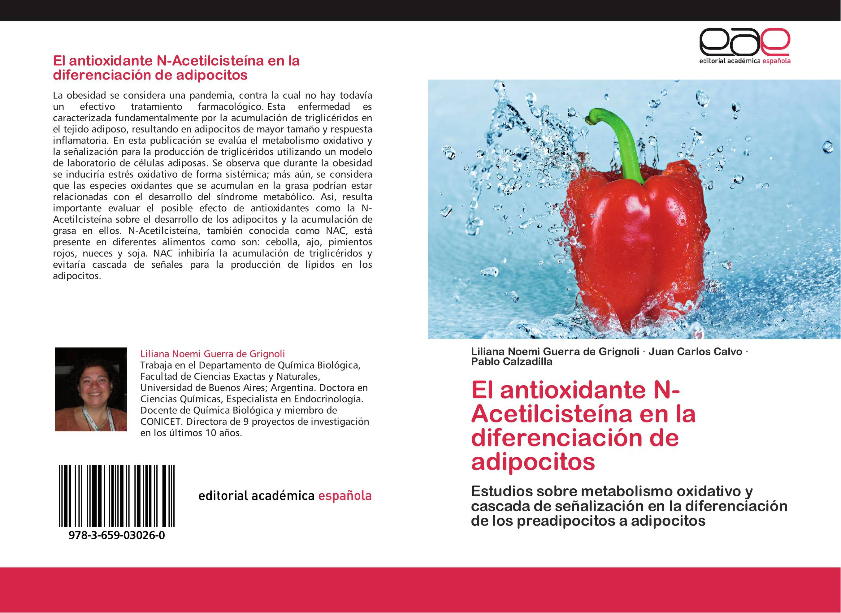 El antioxidante N-Acetilcisteína en la  diferenciación de adipocitos