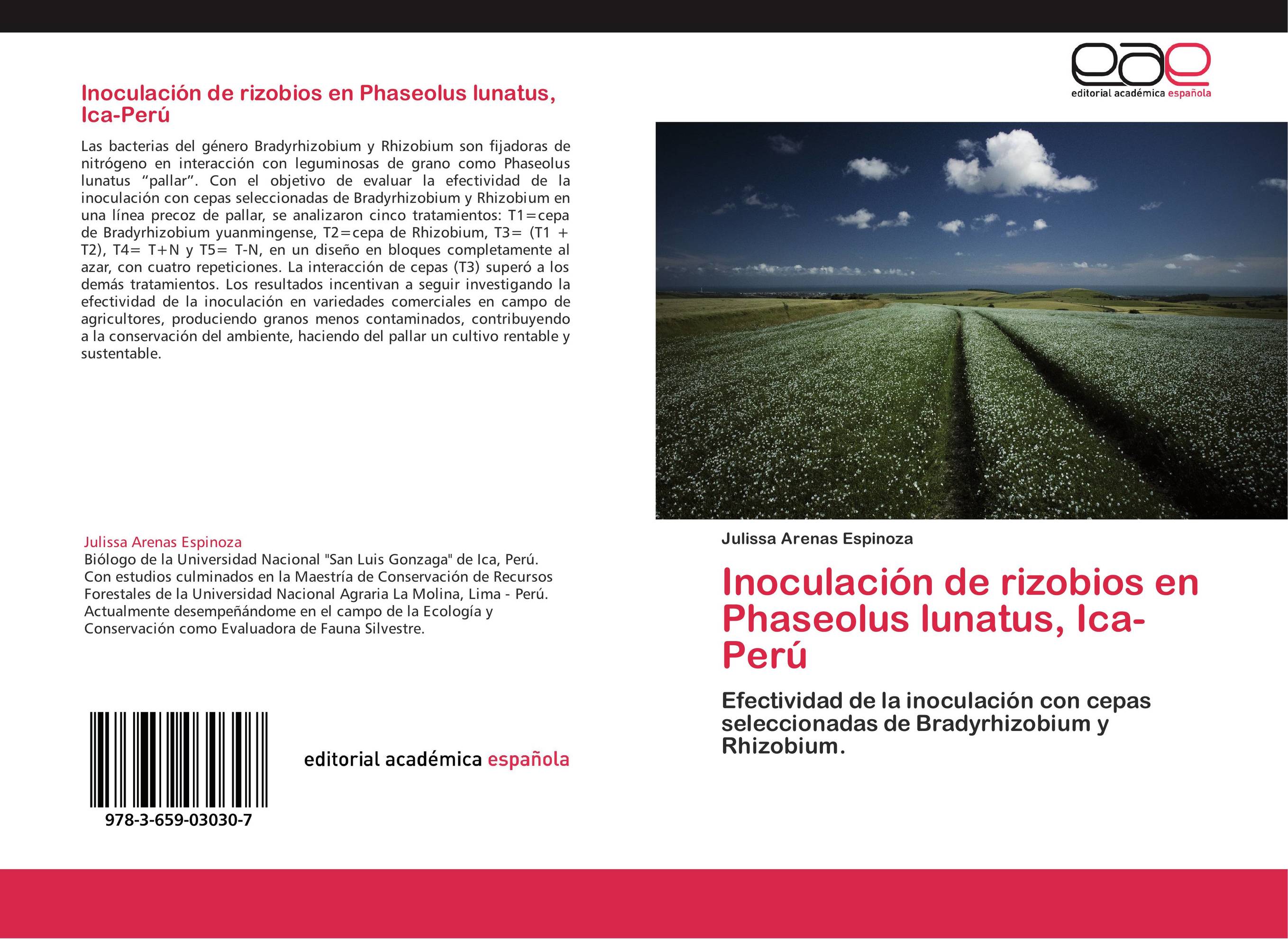 Inoculación de rizobios en Phaseolus lunatus, Ica-Perú