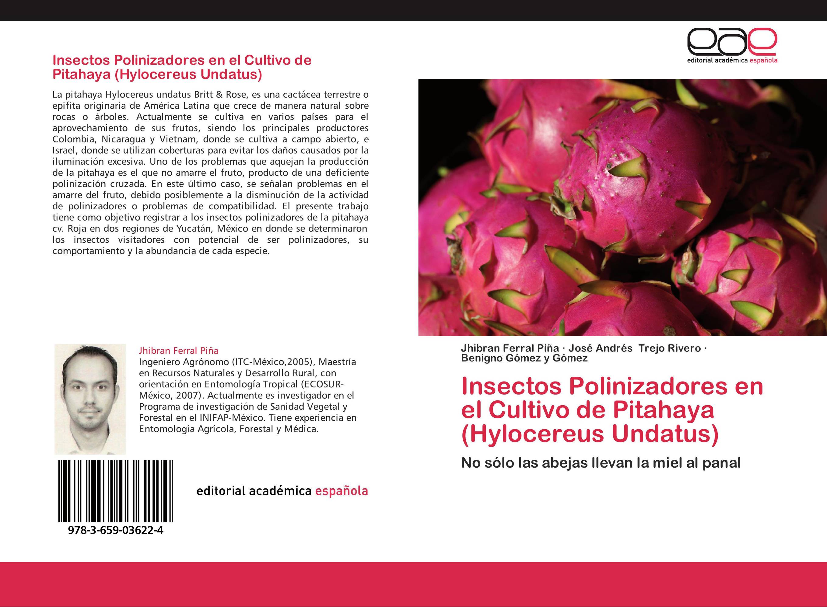 Insectos Polinizadores en el Cultivo de Pitahaya (Hylocereus Undatus)