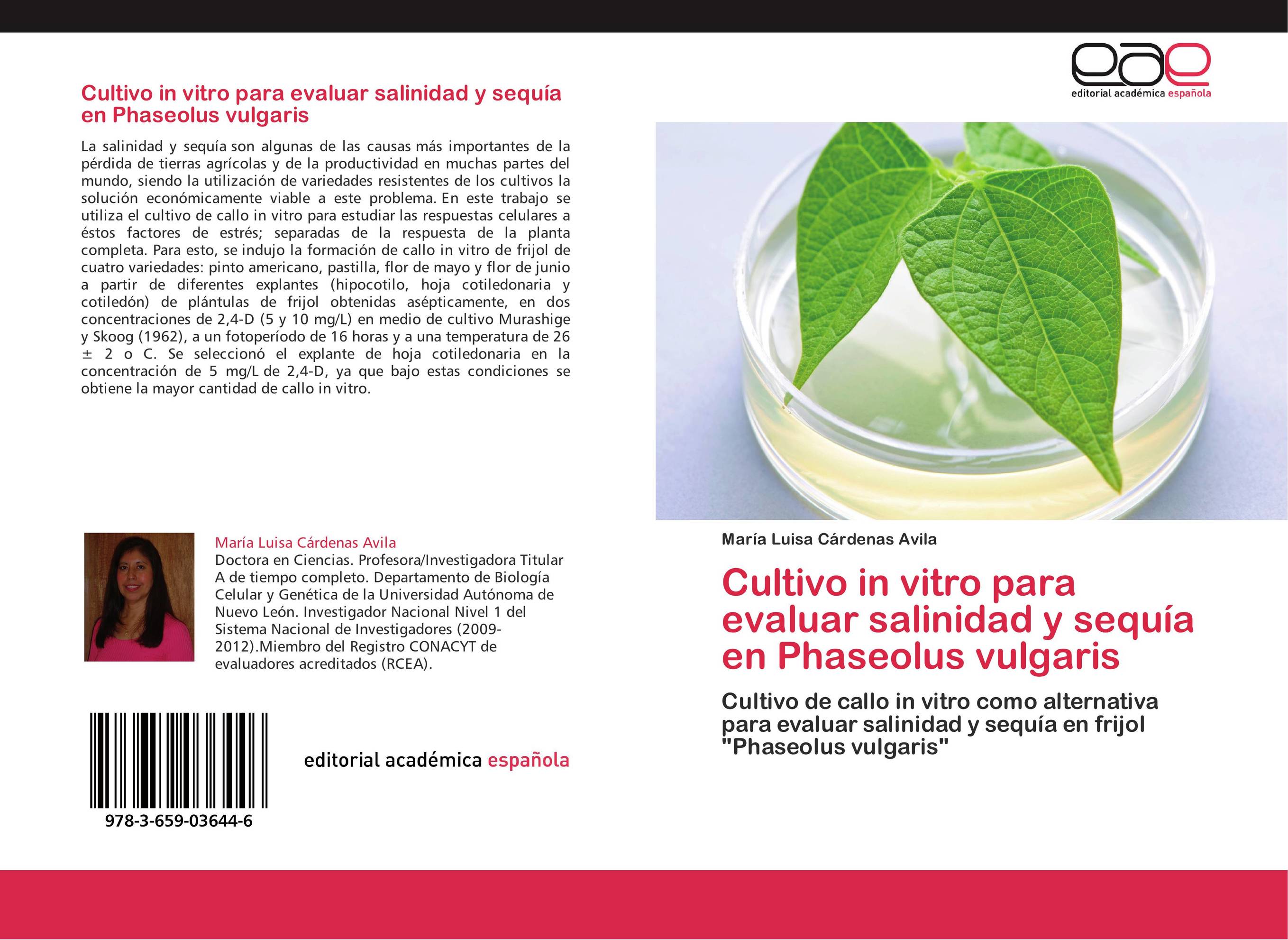 Cultivo in vitro para evaluar salinidad y sequía en Phaseolus vulgaris