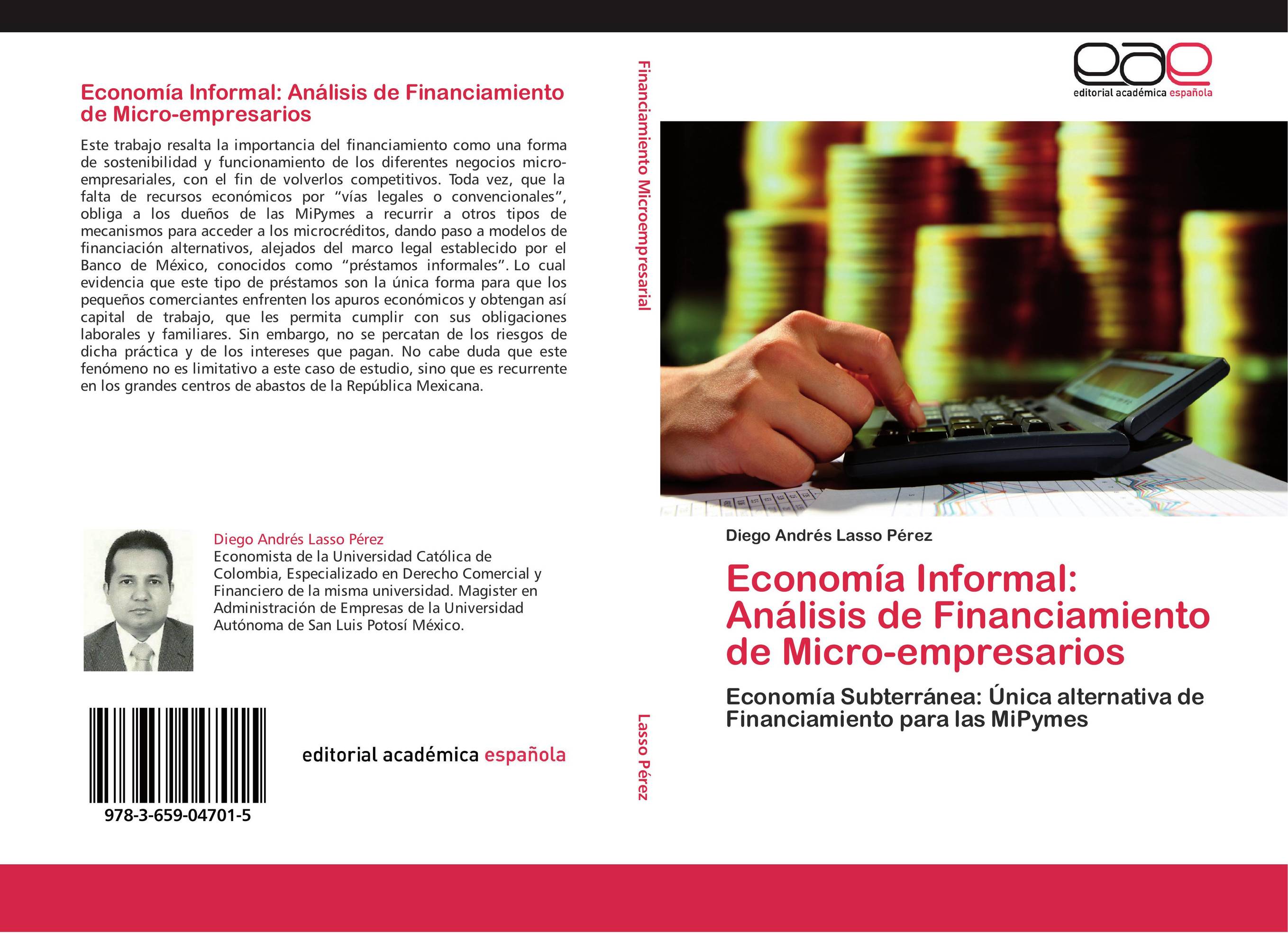 Economía Informal: Análisis de Financiamiento de Micro-empresarios