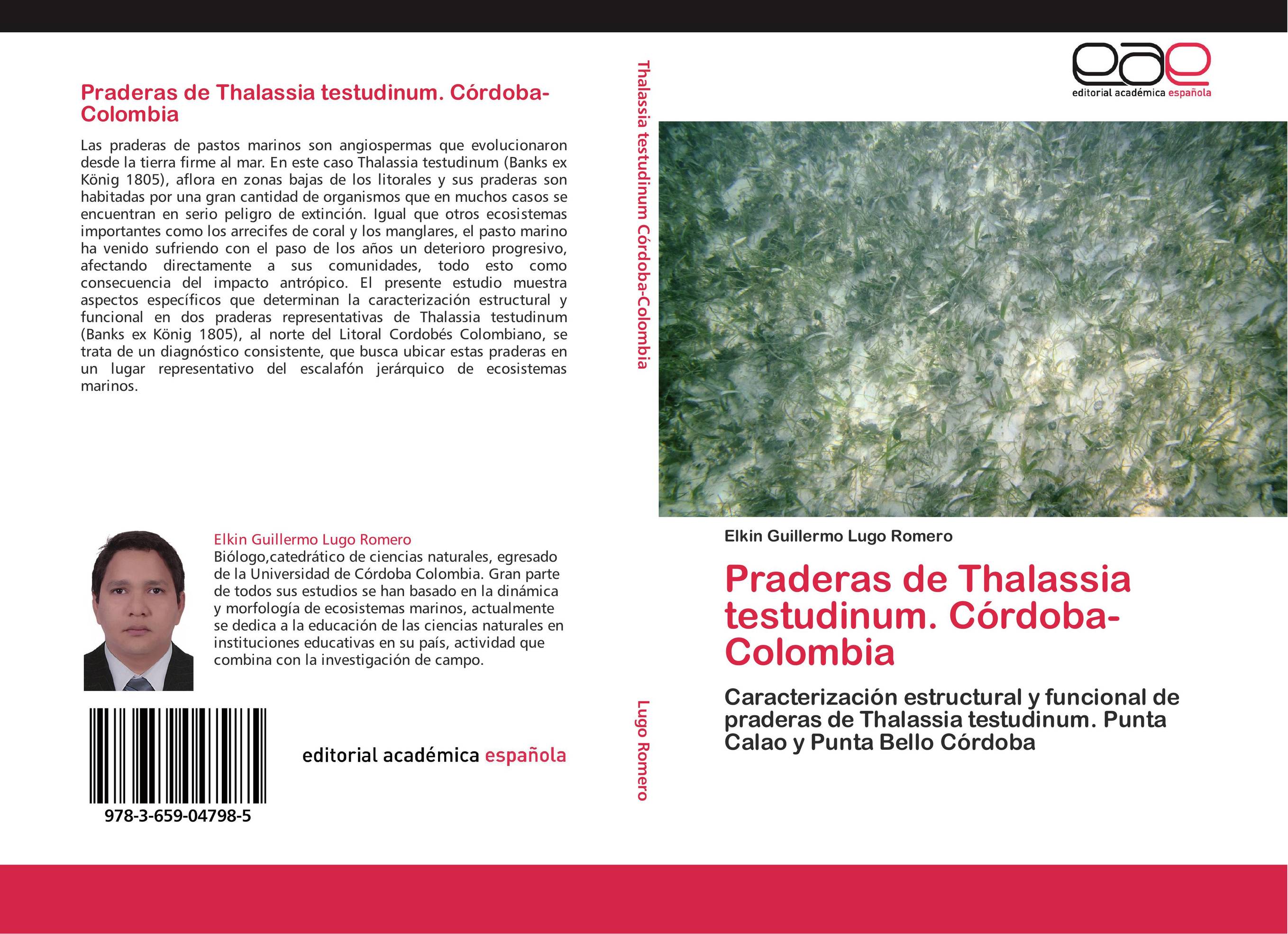 Praderas de Thalassia testudinum. Córdoba-Colombia