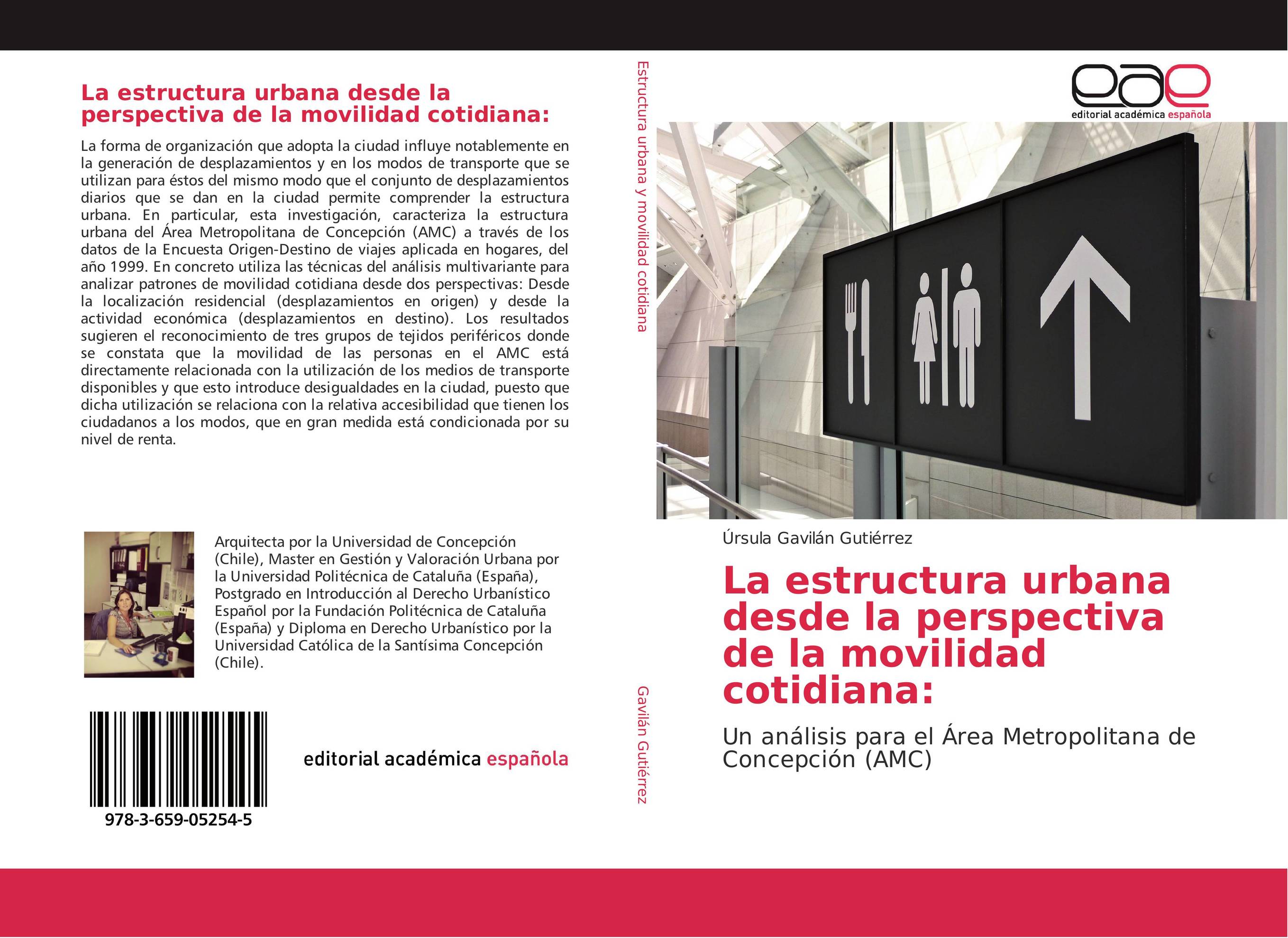 La estructura urbana desde la perspectiva de la movilidad cotidiana: