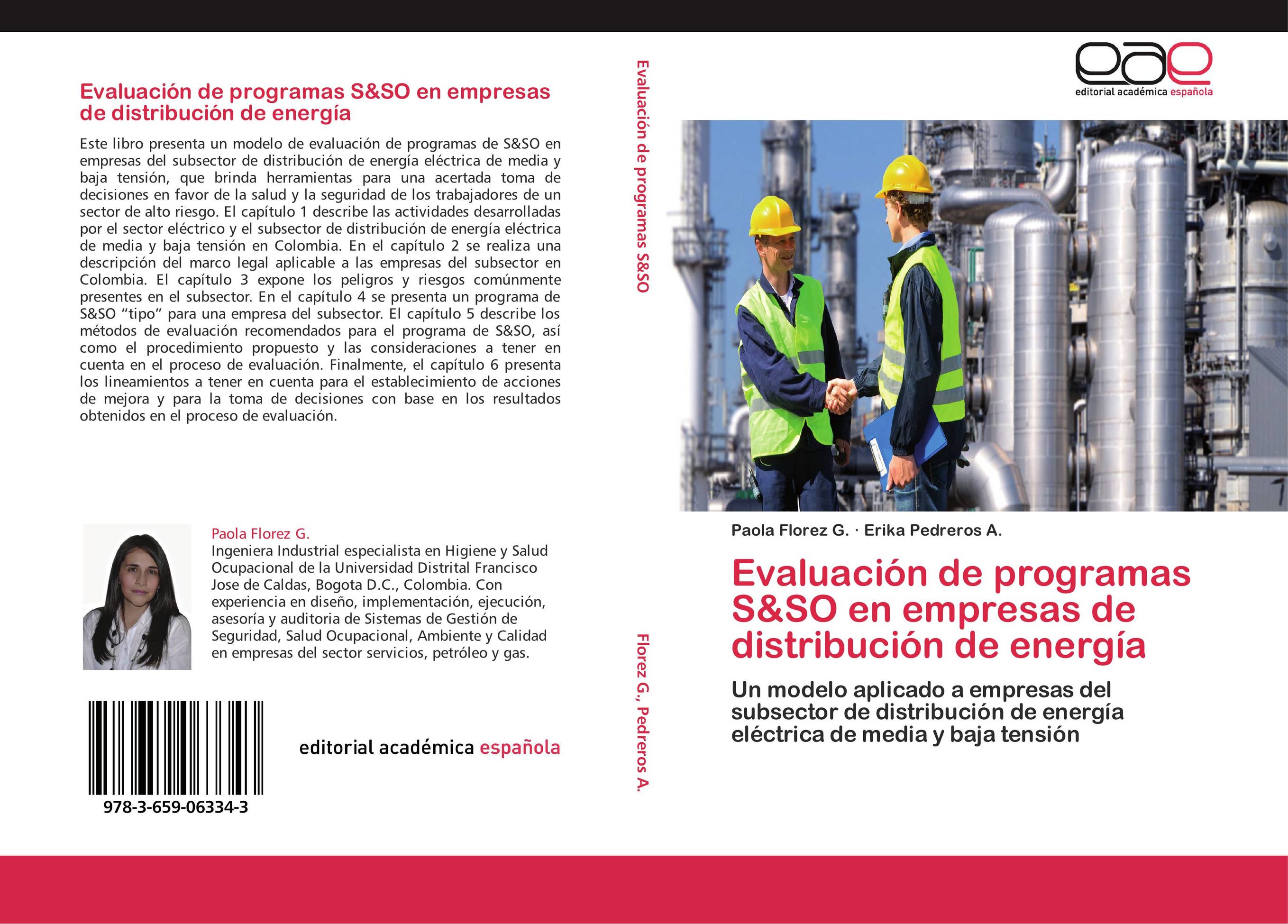 Evaluación de programas S&SO en empresas de distribución de energía