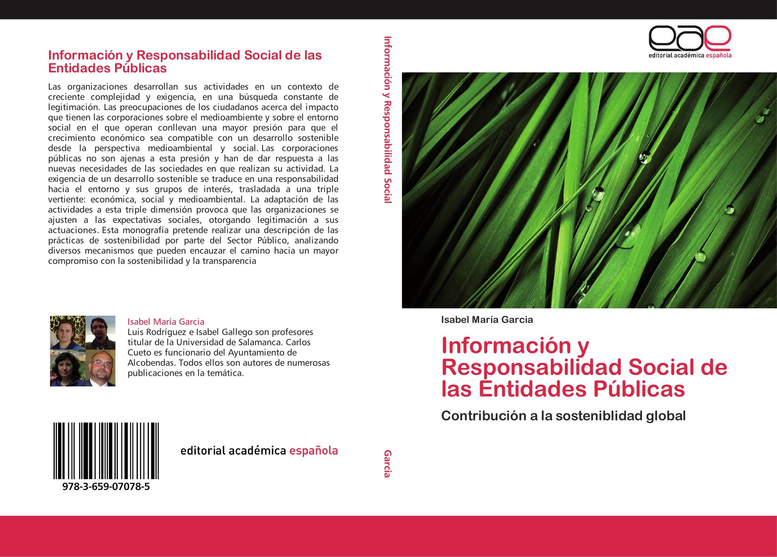 Información y Responsabilidad Social de las Entidades Públicas
