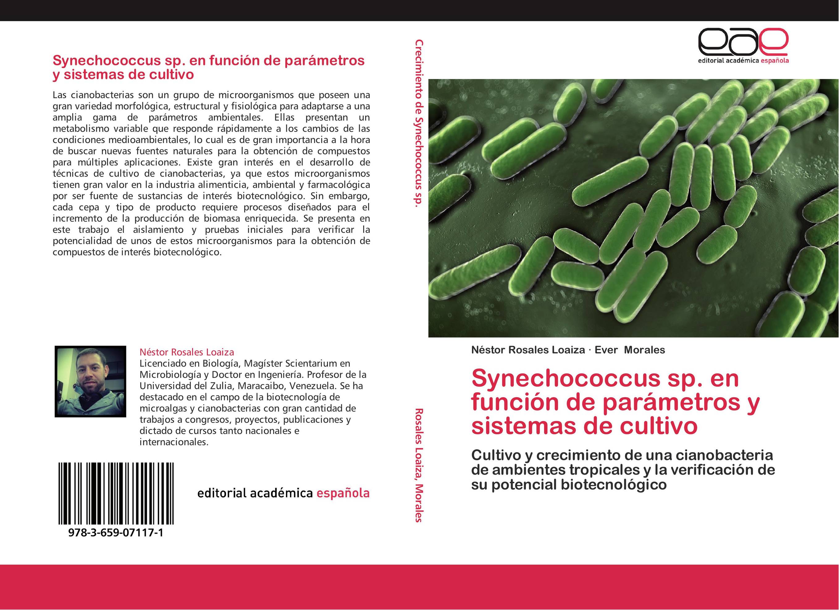 Synechococcus sp. en función de parámetros y sistemas de cultivo