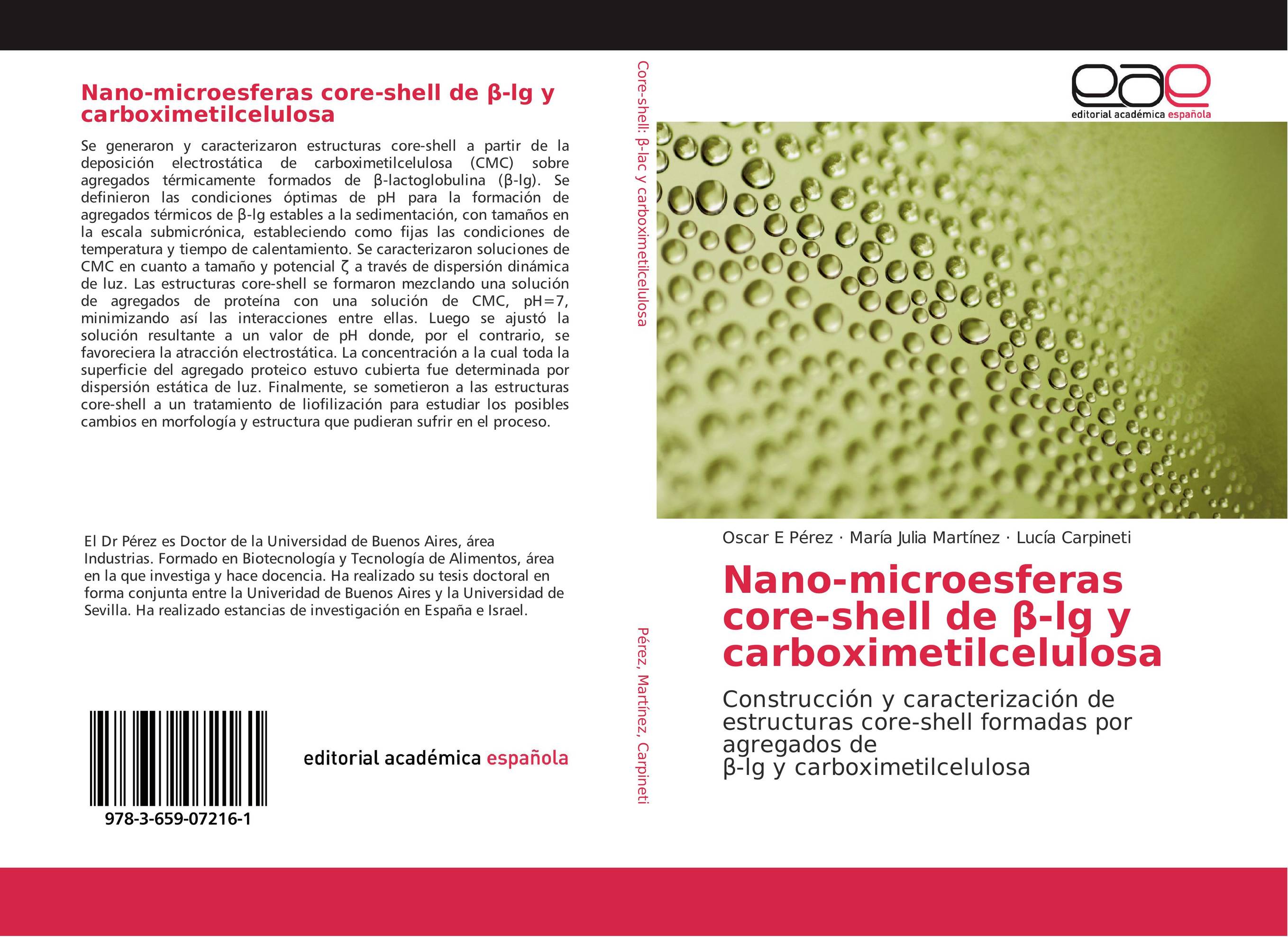 Nano-microesferas core-shell de ?-lg y carboximetilcelulosa
