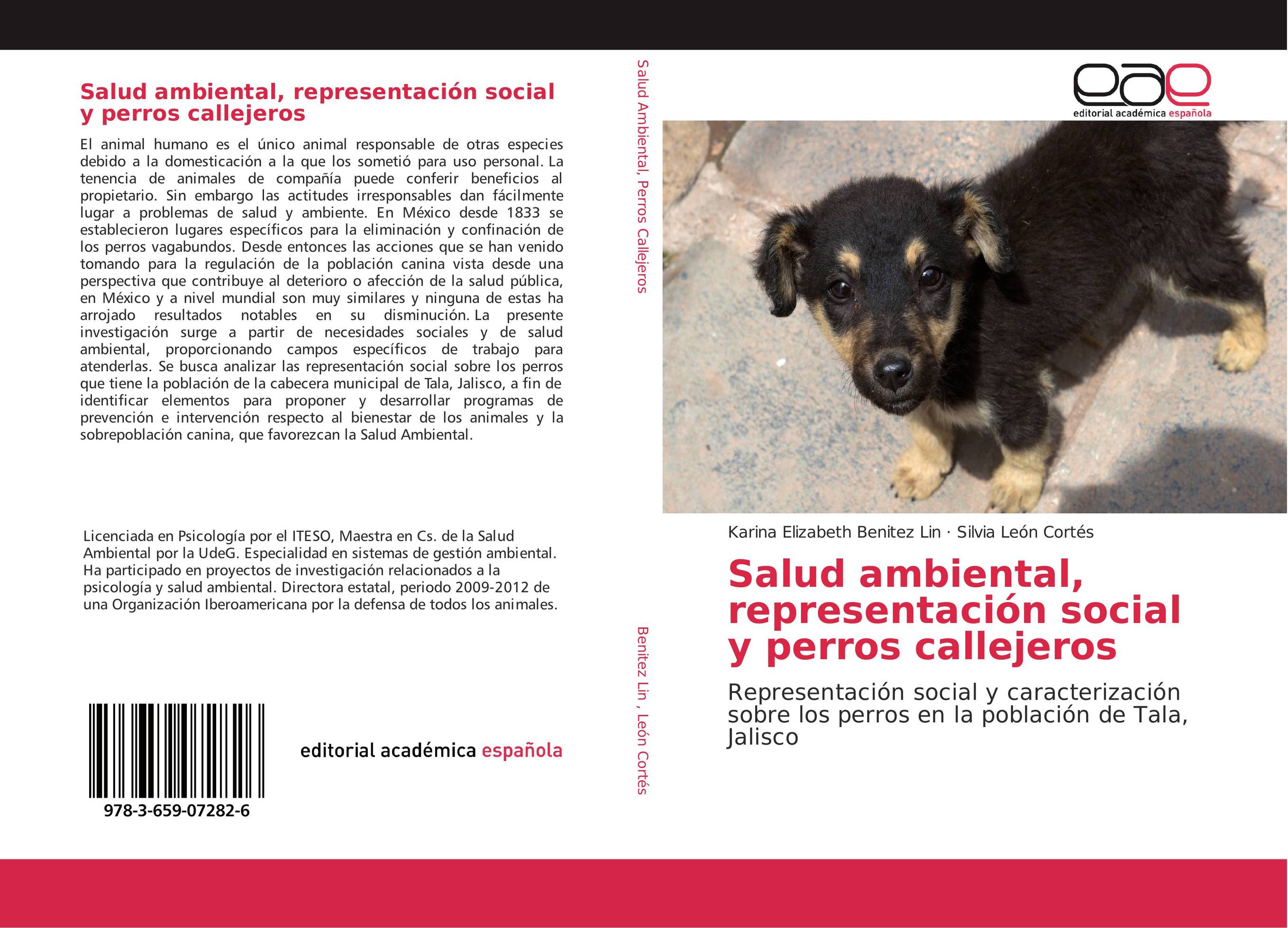 Salud ambiental, representación social y perros callejeros