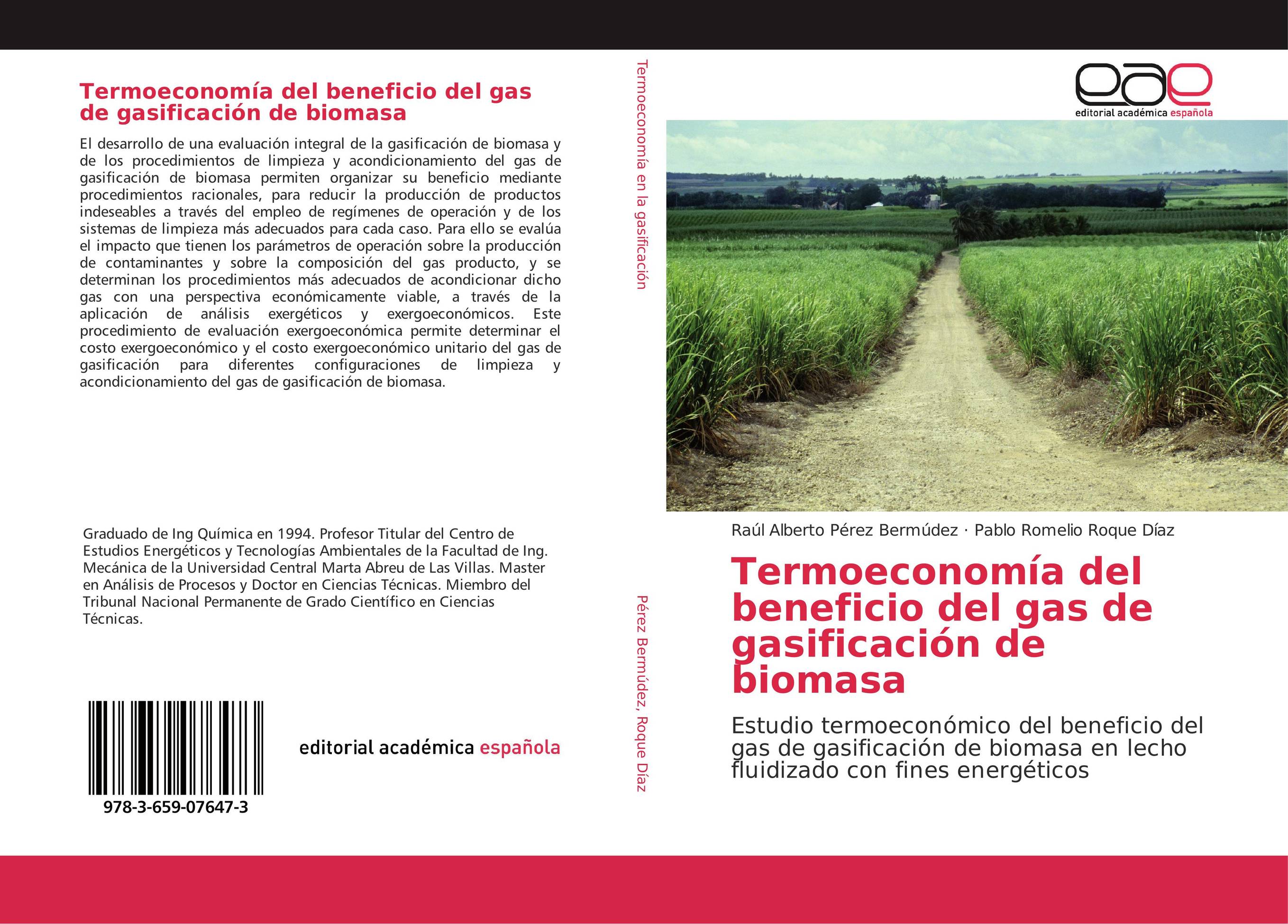 Termoeconomía del beneficio del gas de gasificación de biomasa