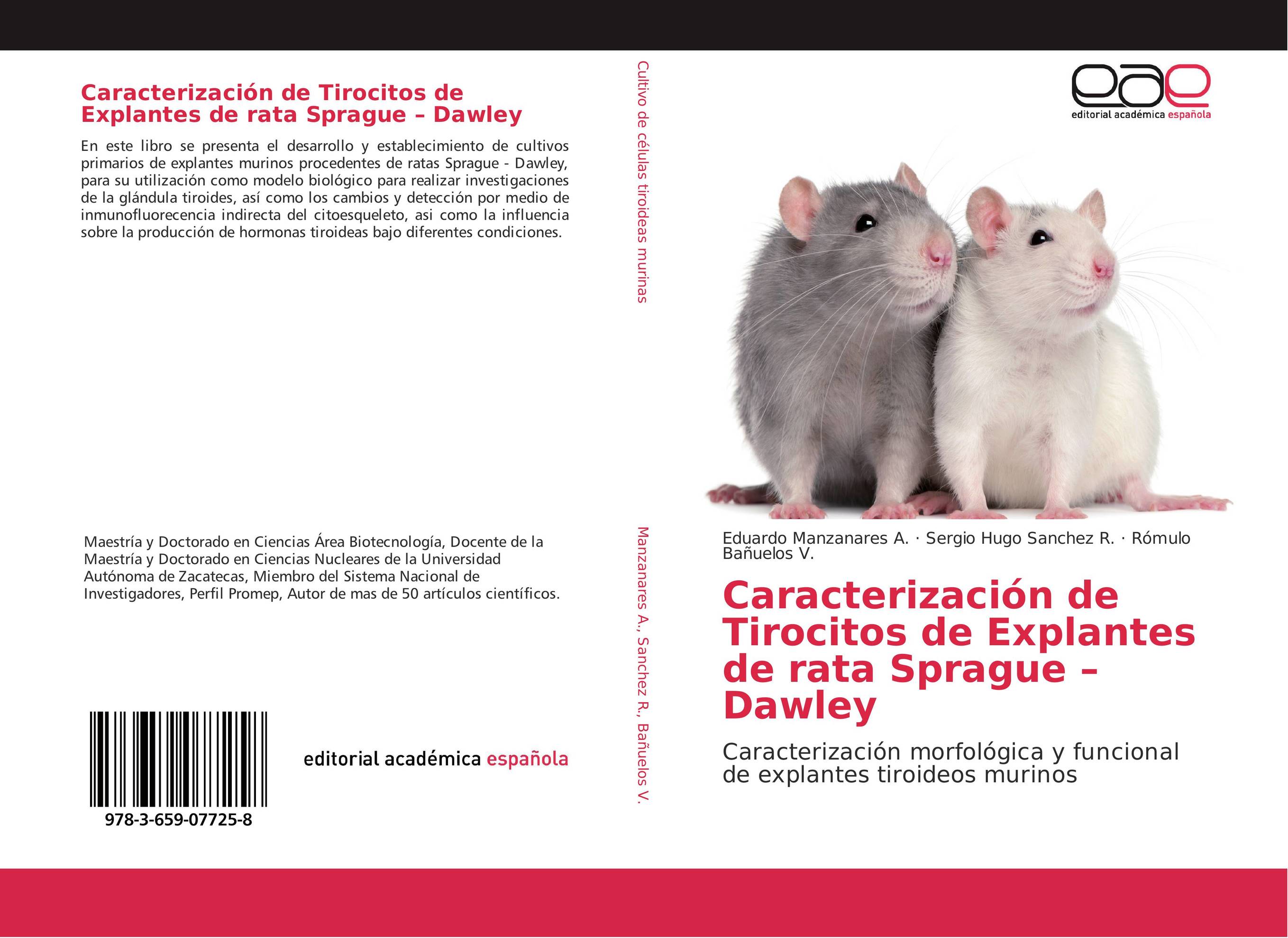 Caracterización de Tirocitos de Explantes de rata Sprague - Dawley