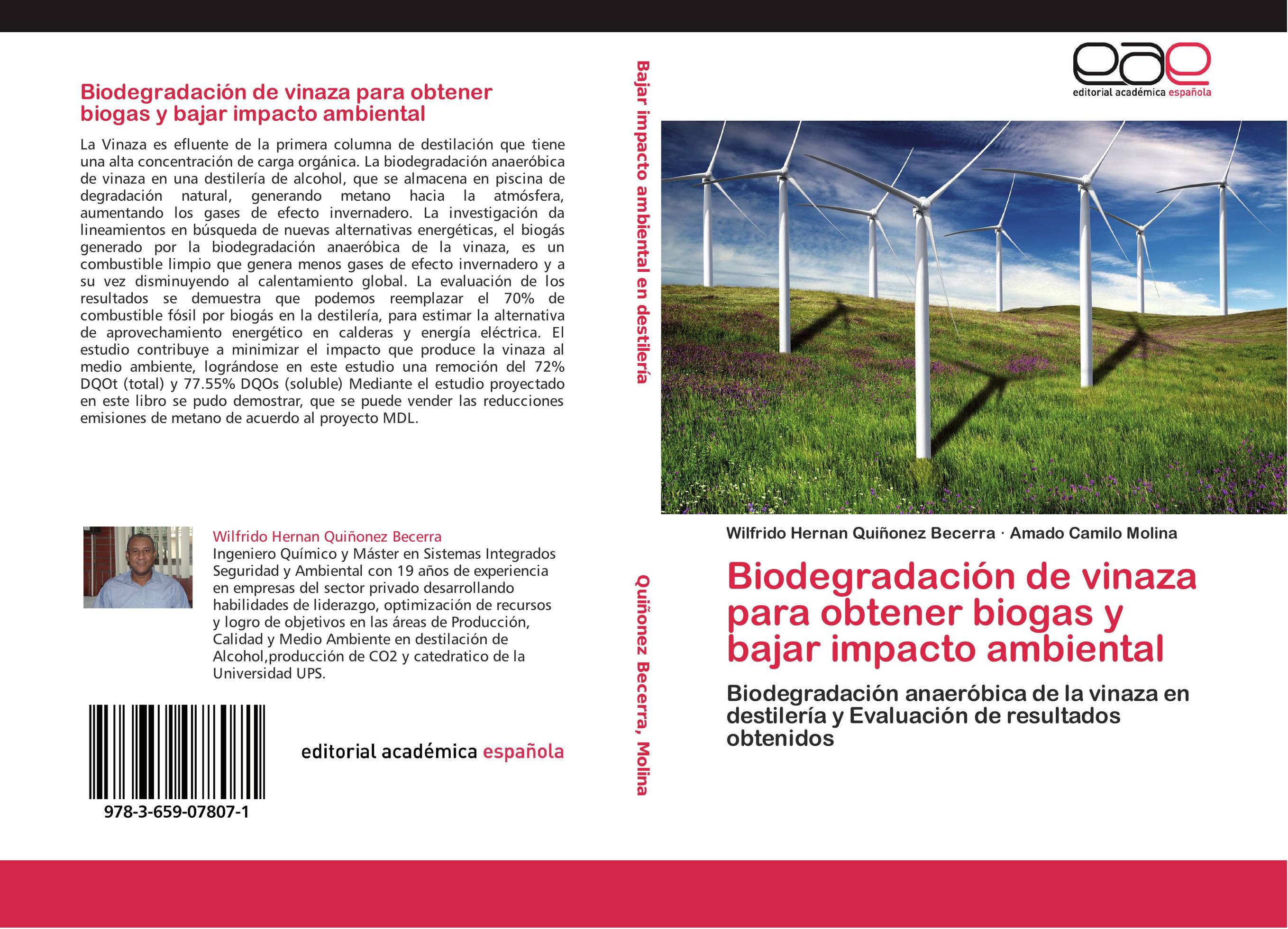 Biodegradación de vinaza para obtener biogas y bajar impacto ambiental