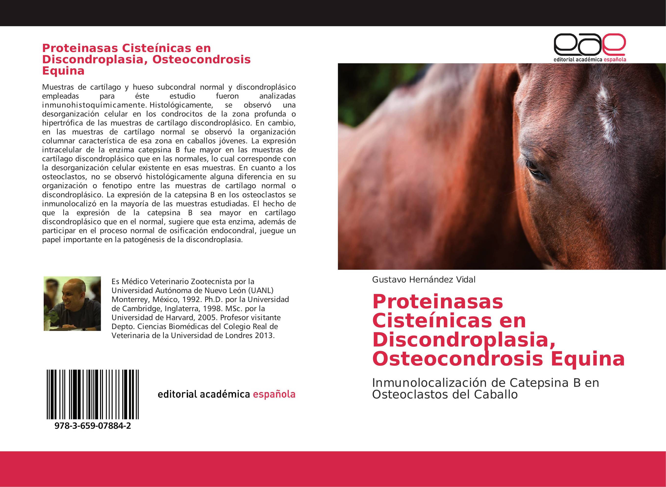 Proteinasas Cisteínicas en Discondroplasia, Osteocondrosis Equina