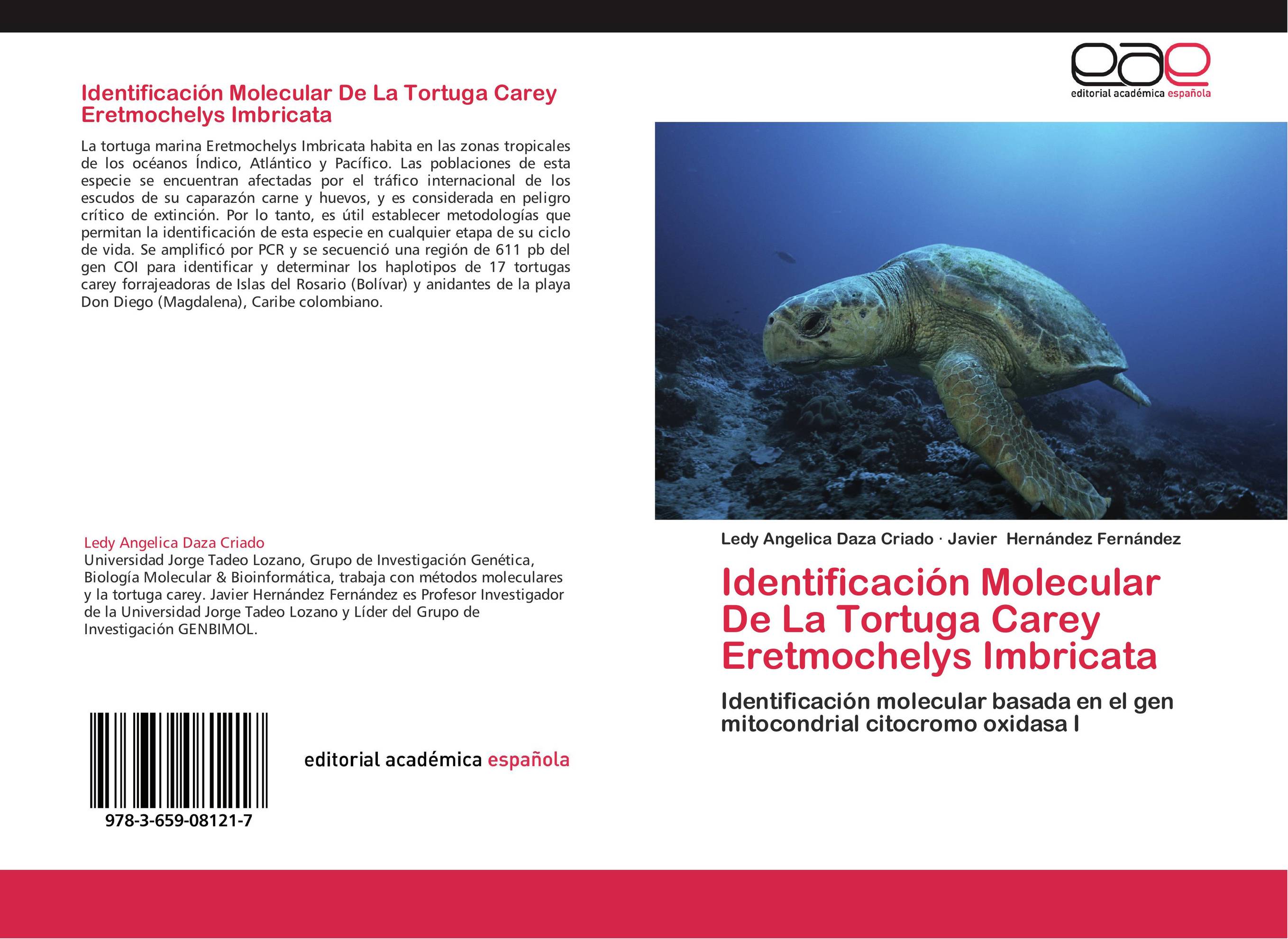 Identificación Molecular De La Tortuga Carey Eretmochelys Imbricata