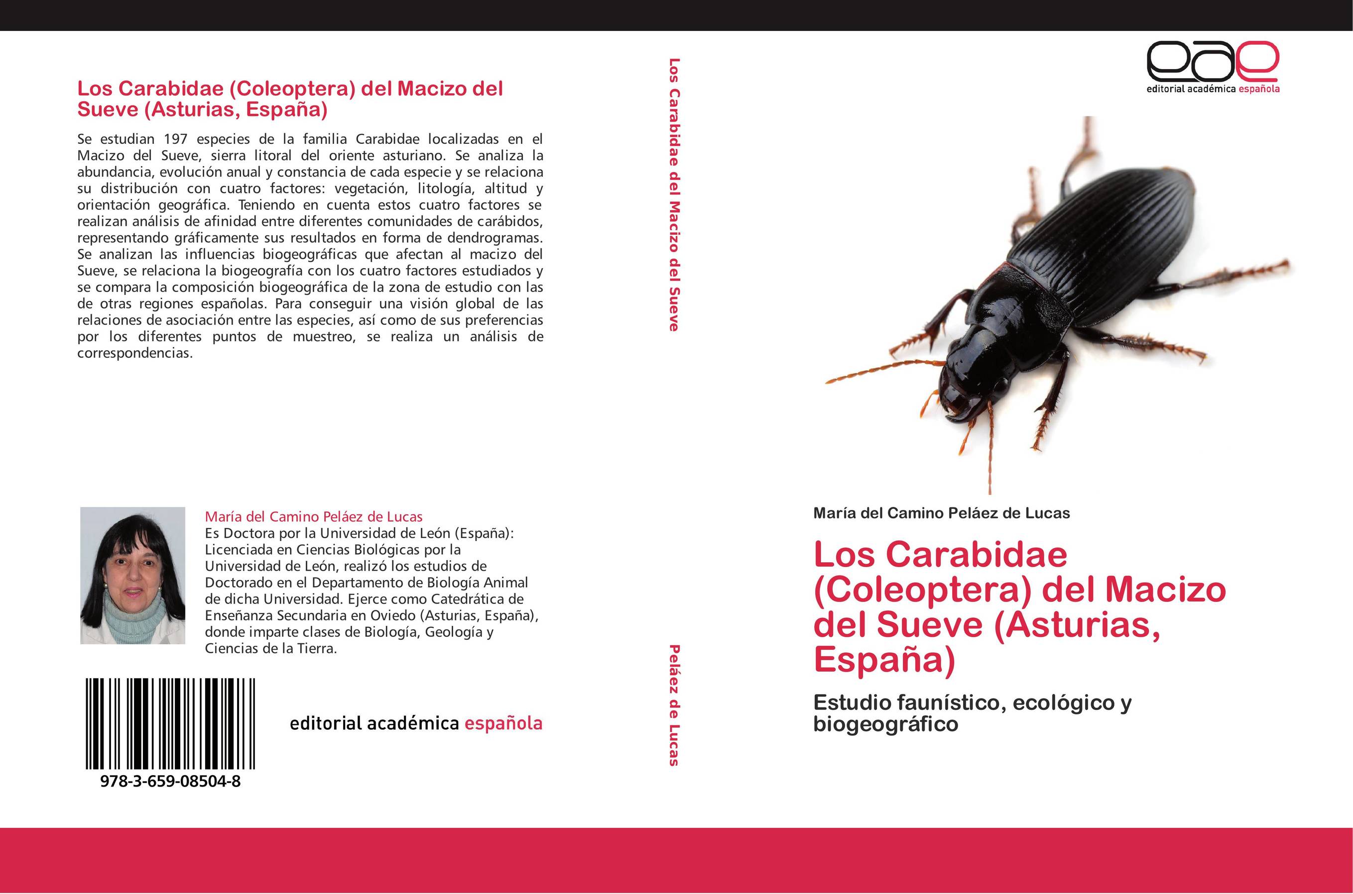 Los Carabidae (Coleoptera) del Macizo del Sueve (Asturias, España)