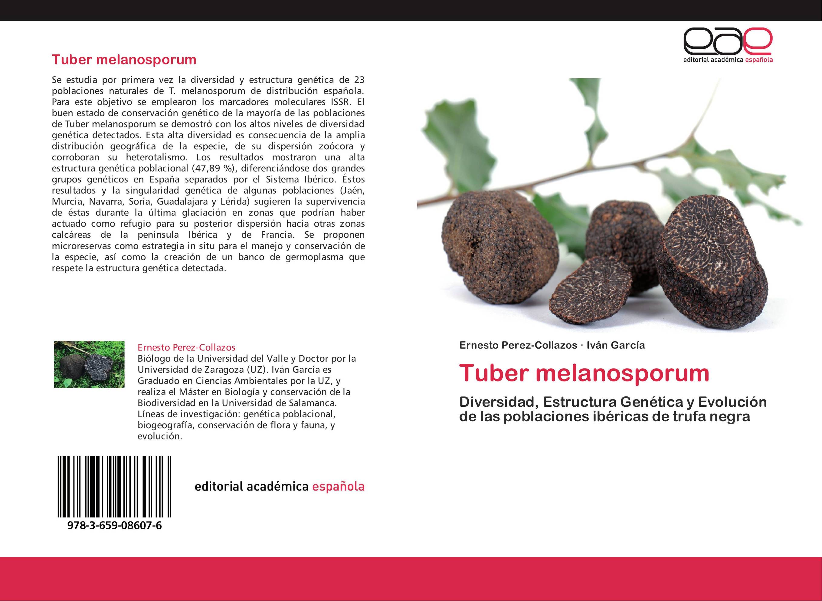 Tuber melanosporum