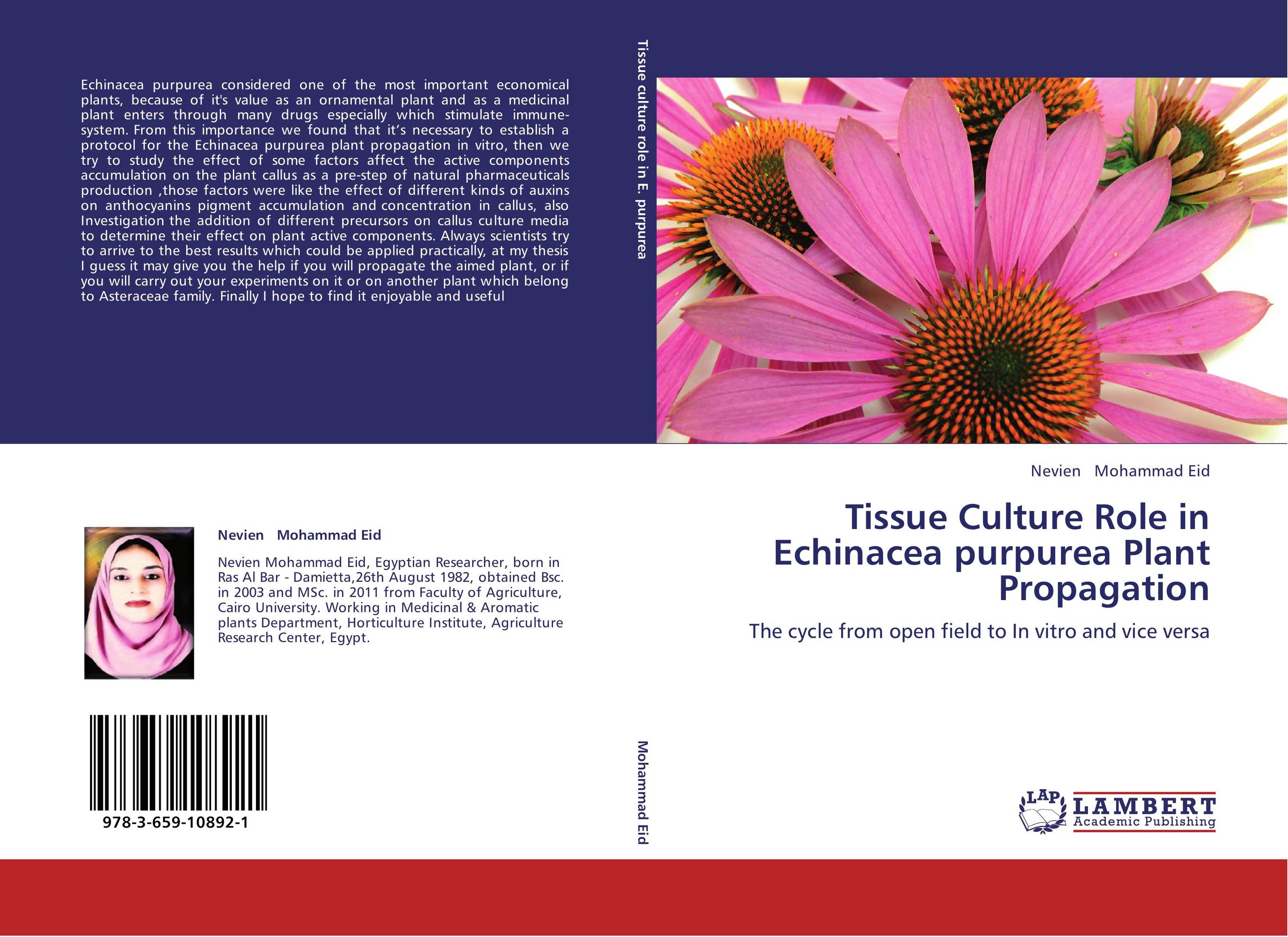 Tissue Culture Role in Echinacea purpurea Plant Propagation. The cycle from open field to In vitro and vice versa.