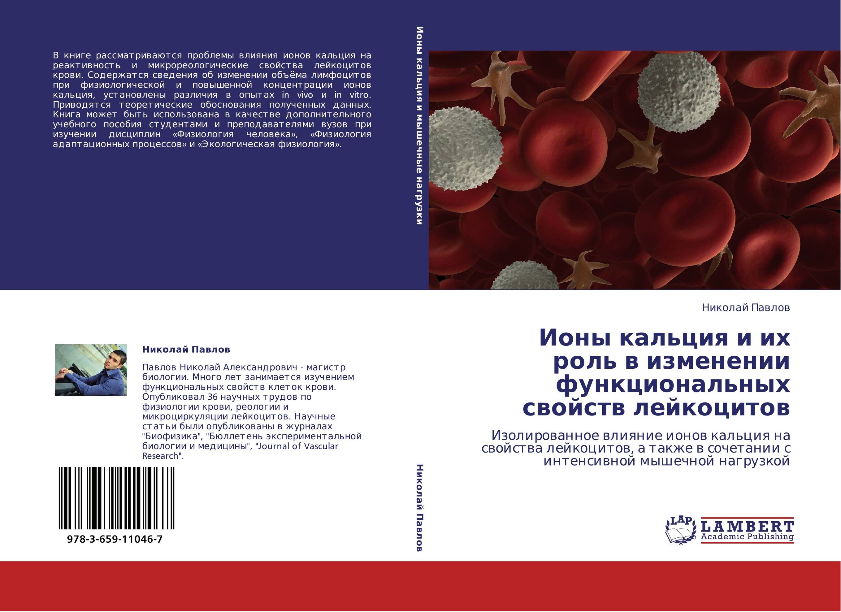 Ионы кальция и их роль в изменении функциональных свойств лейкоцитов. Изолированное влияние ионов кальция на свойства лейкоцитов, а также в сочетании с интенсивной мышечной нагрузкой.