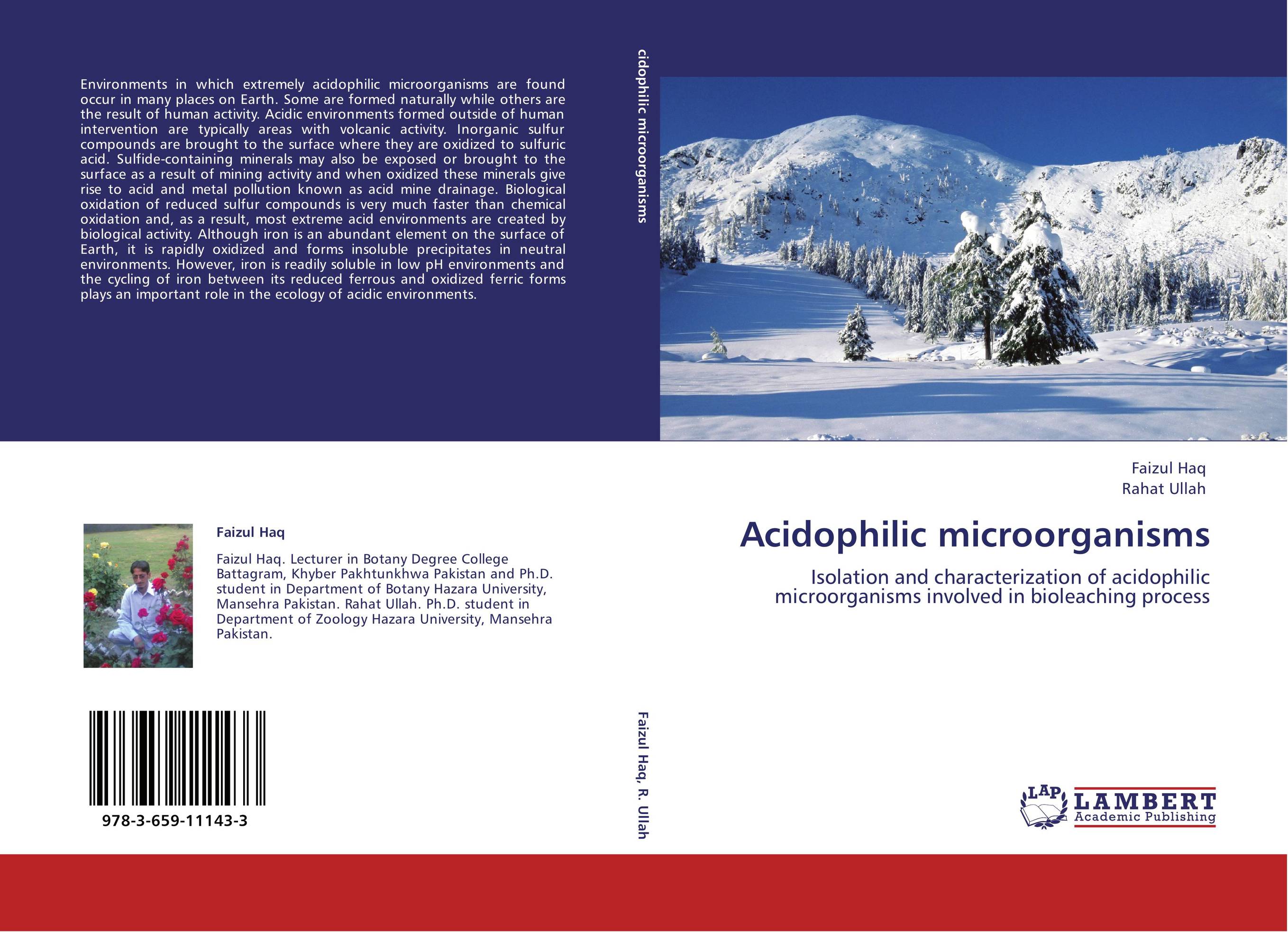 Acidophilic microorganisms. Isolation and characterization of acidophilic microorganisms involved in bioleaching process.