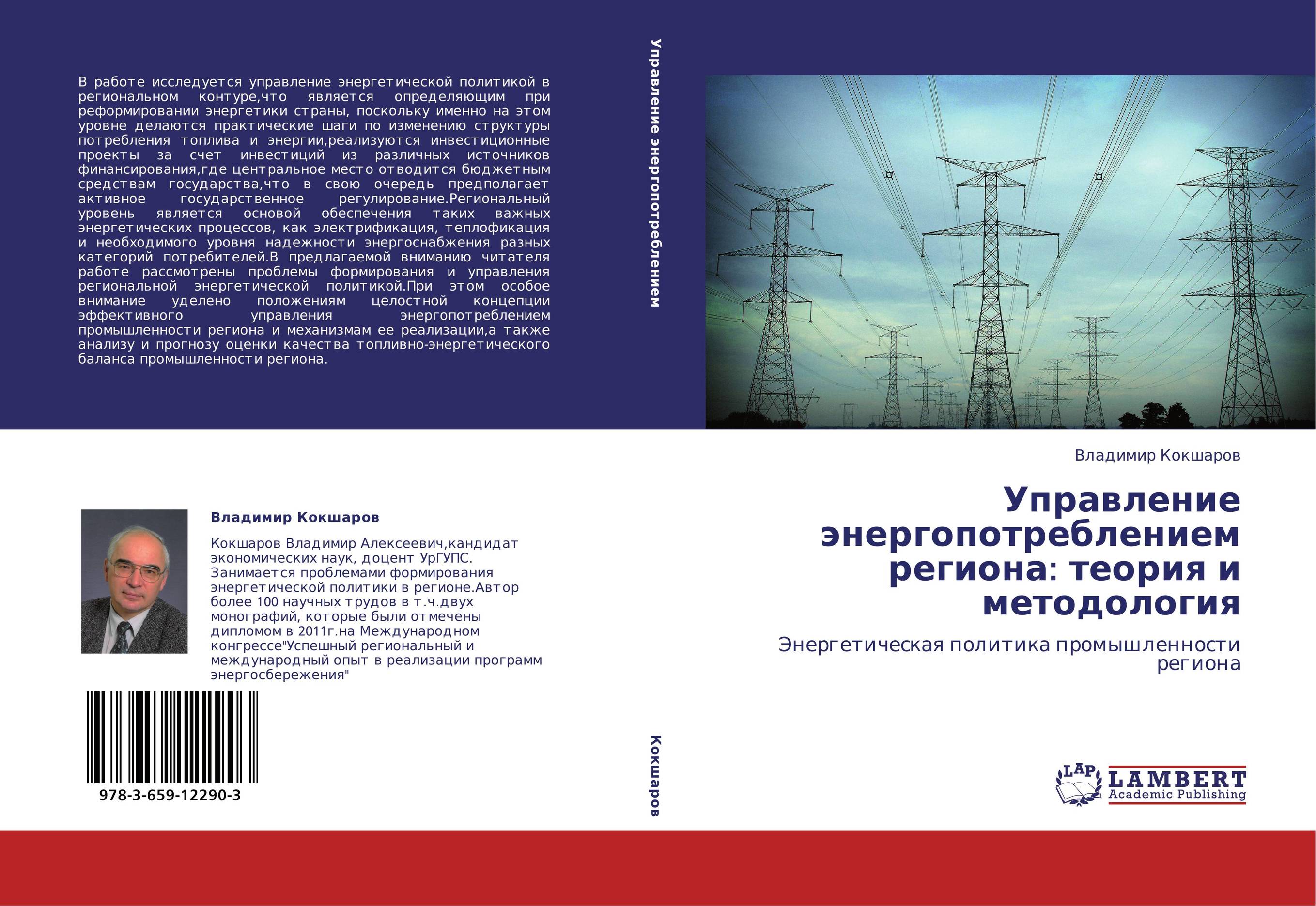 Управление энергопотреблением региона: теория и методология. Энергетическая политика промышленности региона.
