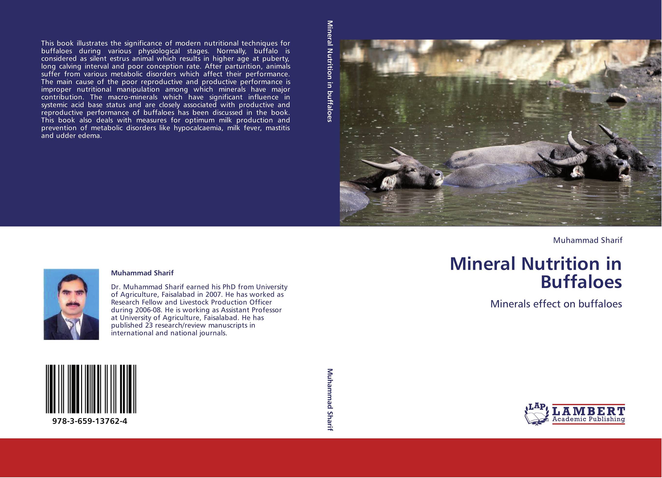 Mineral Nutrition in Buffaloes. Minerals effect on buffaloes.