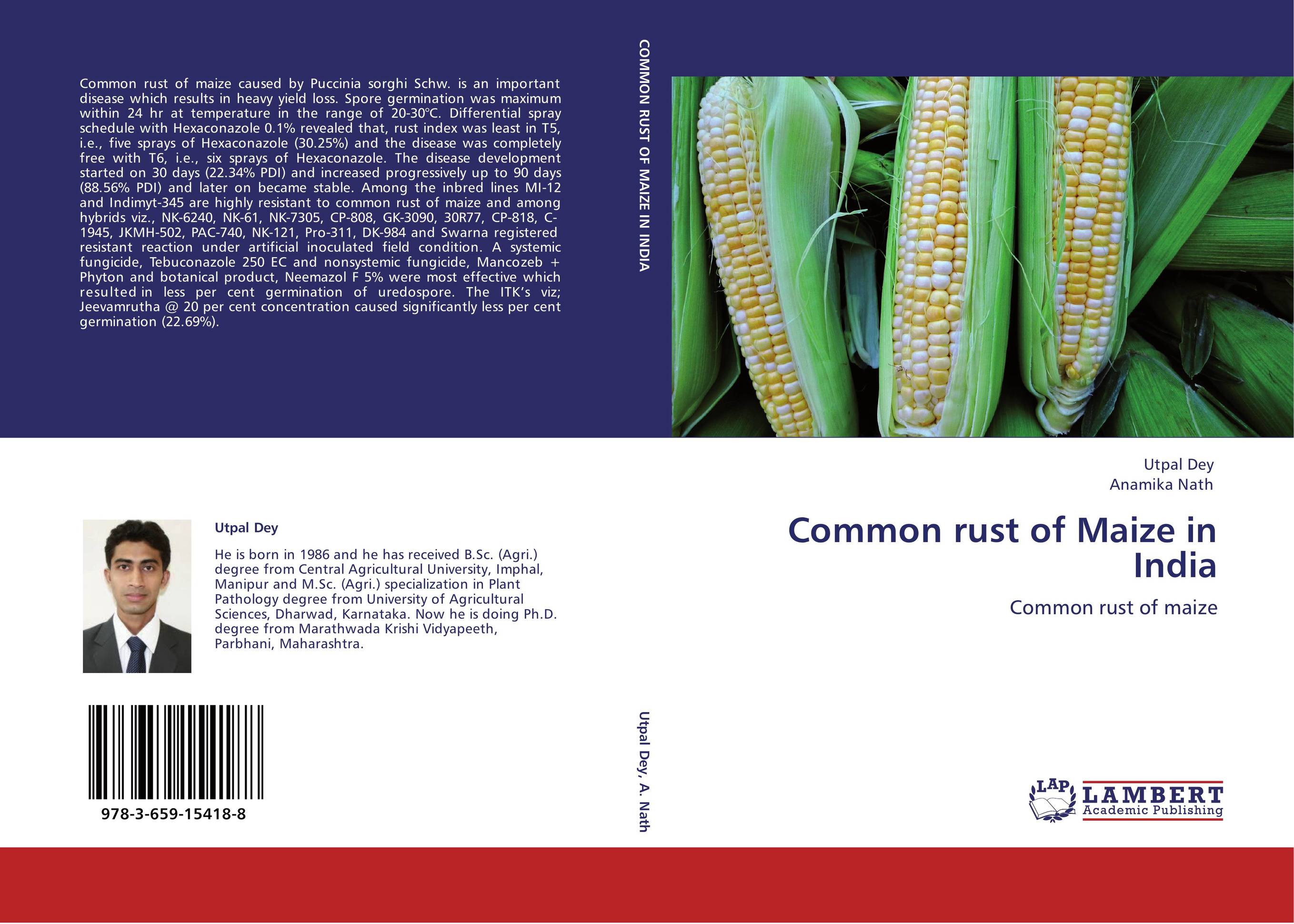 Common rust of Maize in India. Common rust of maize.