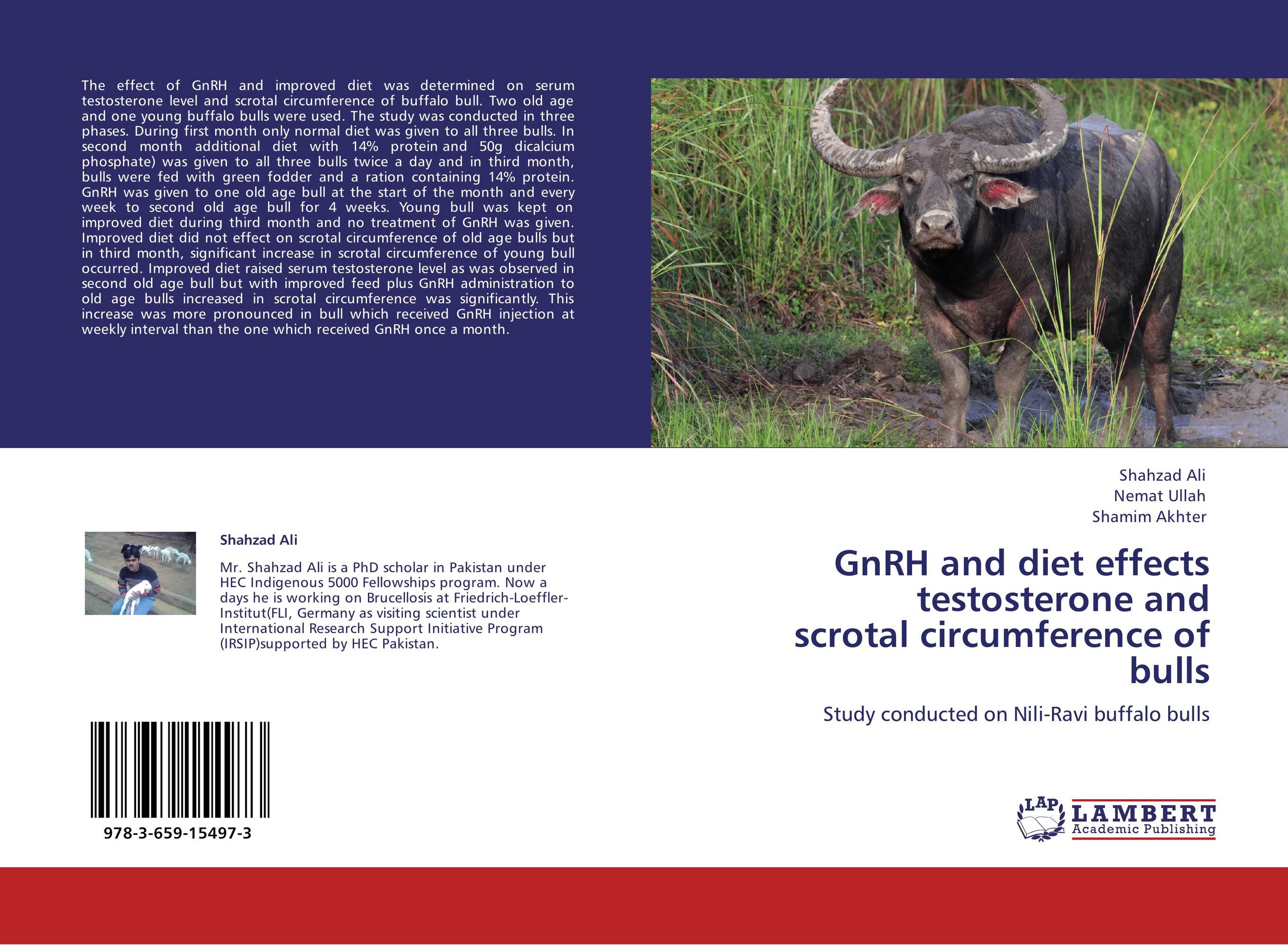 GnRH and diet effects testosterone and  scrotal circumference of bulls. Study conducted on Nili-Ravi buffalo bulls.