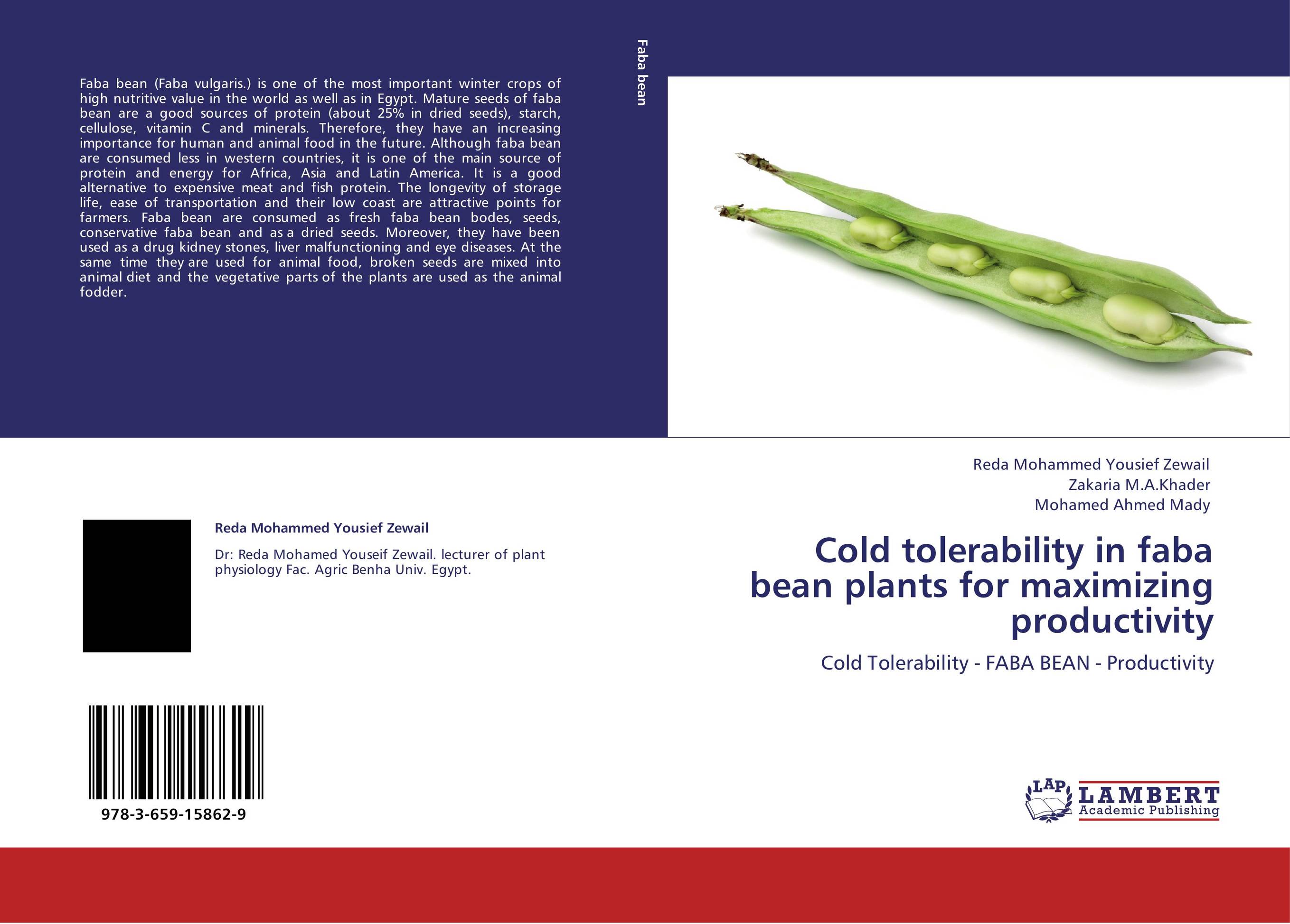 Cold tolerability in faba bean plants for maximizing productivity. Cold Tolerability - FABA BEAN - Productivity.
