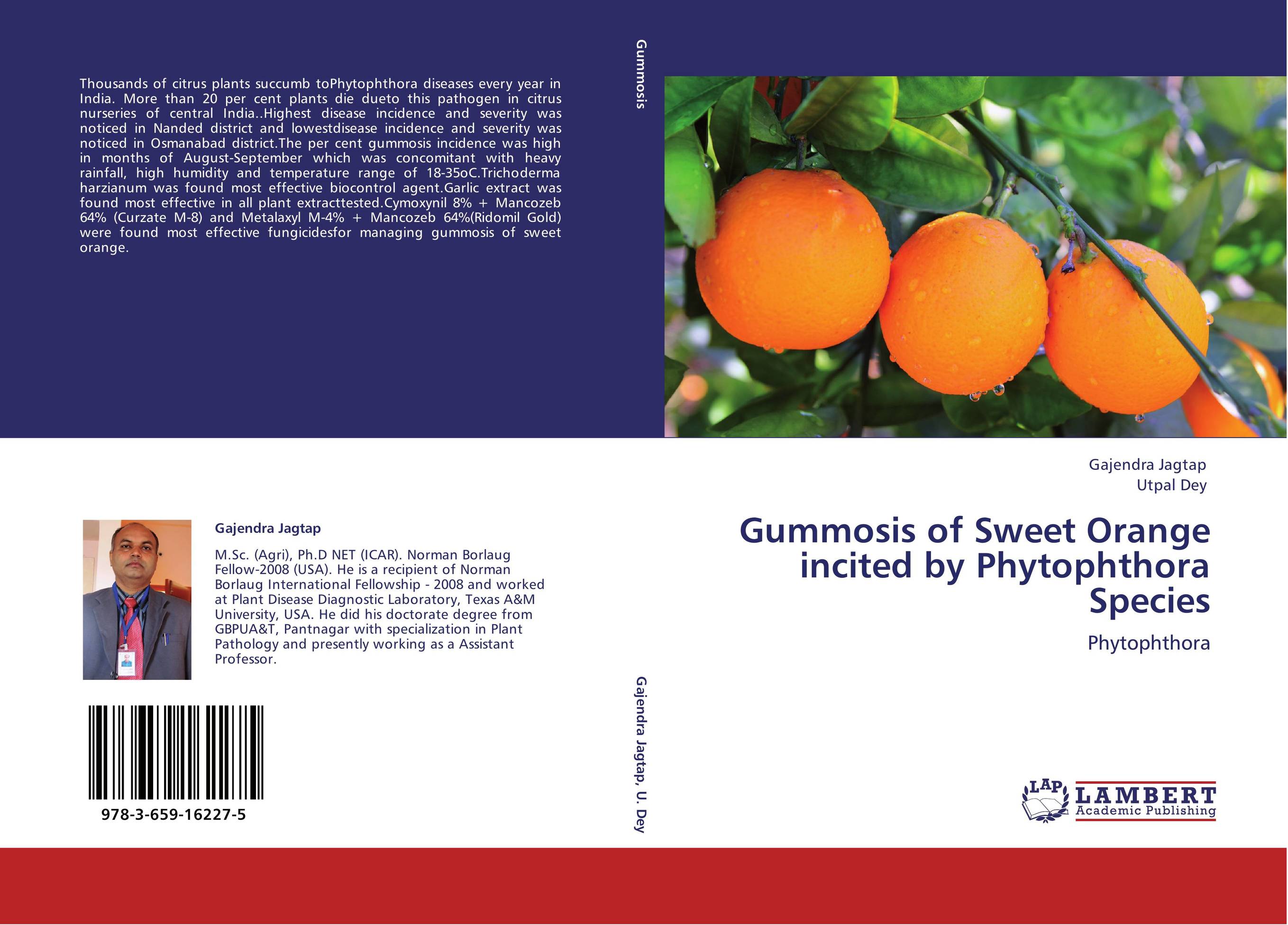 Gummosis of Sweet Orange incited by Phytophthora Species. Phytophthora.