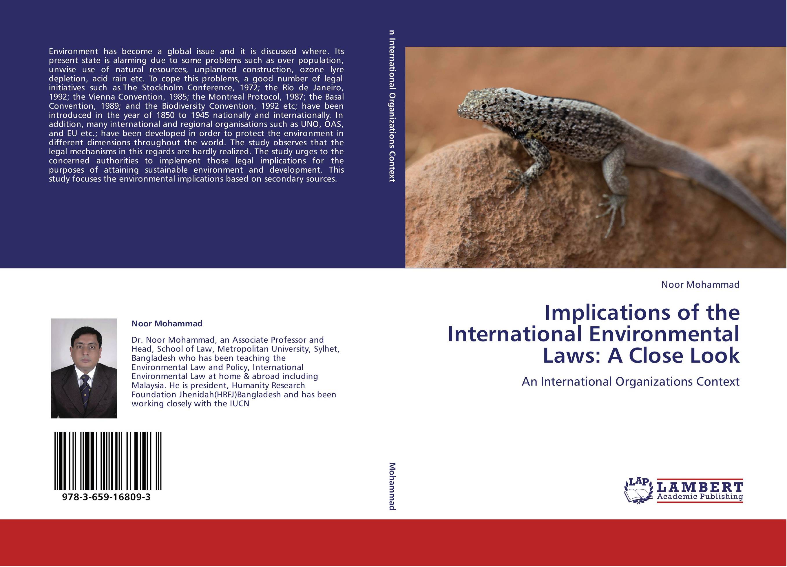 Implications of the International Environmental Laws: A Close Look. An International Organizations Context.