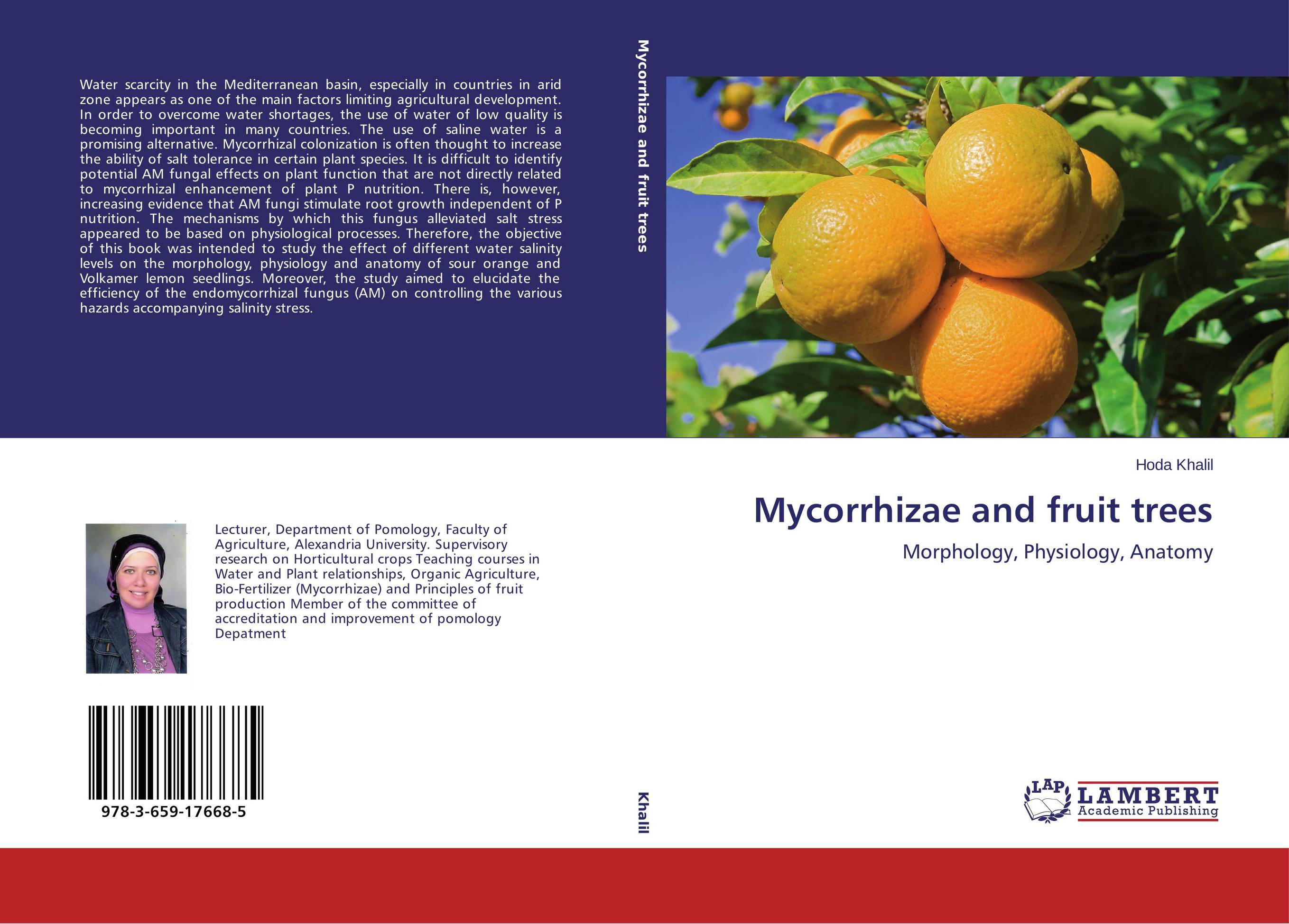 Mycorrhizae and fruit trees. Morphology, Physiology, Anatomy.
