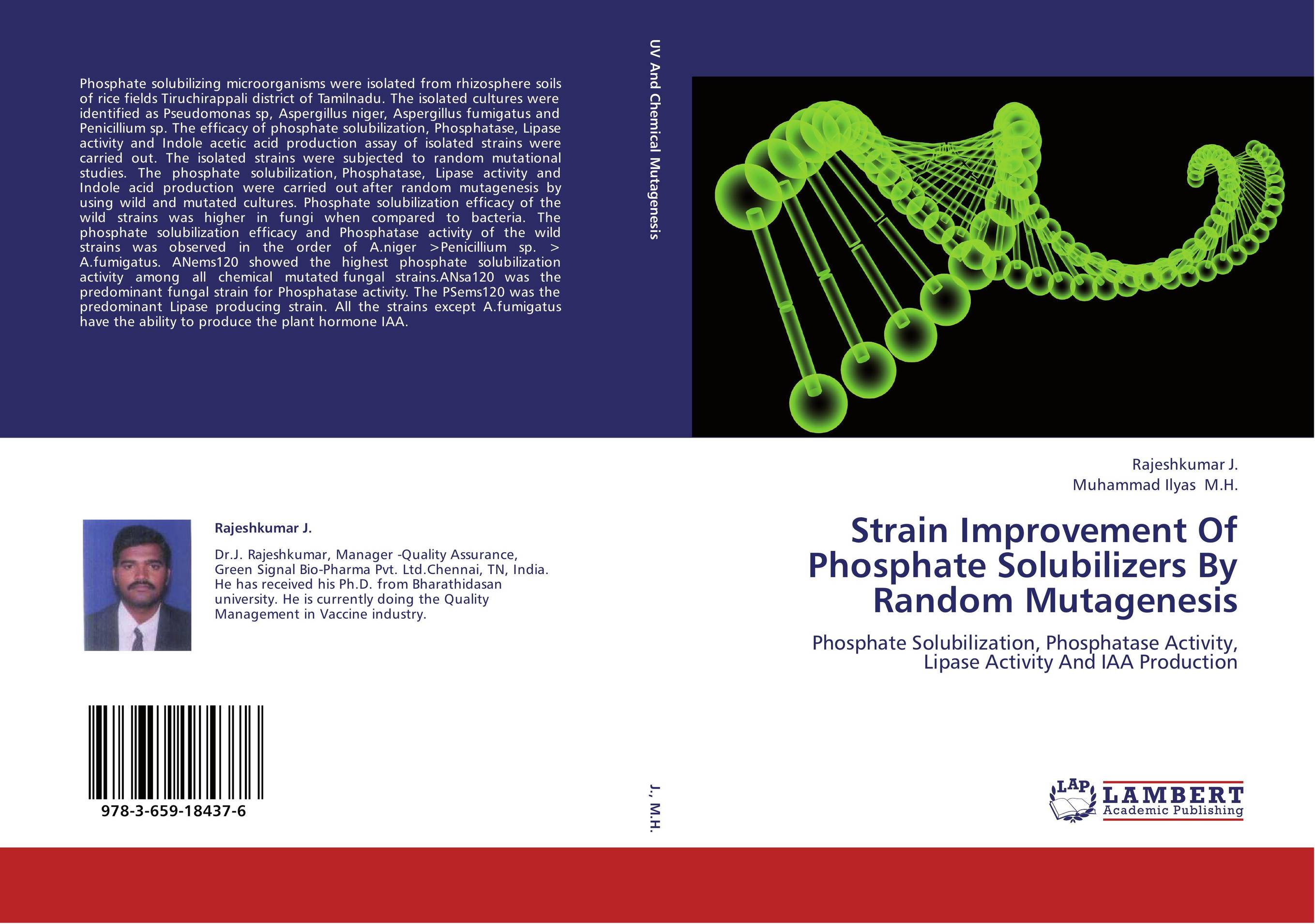 Strain Improvement Of Phosphate Solubilizers By Random Mutagenesis. Phosphate Solubilization, Phosphatase Activity, Lipase Activity And IAA Production.