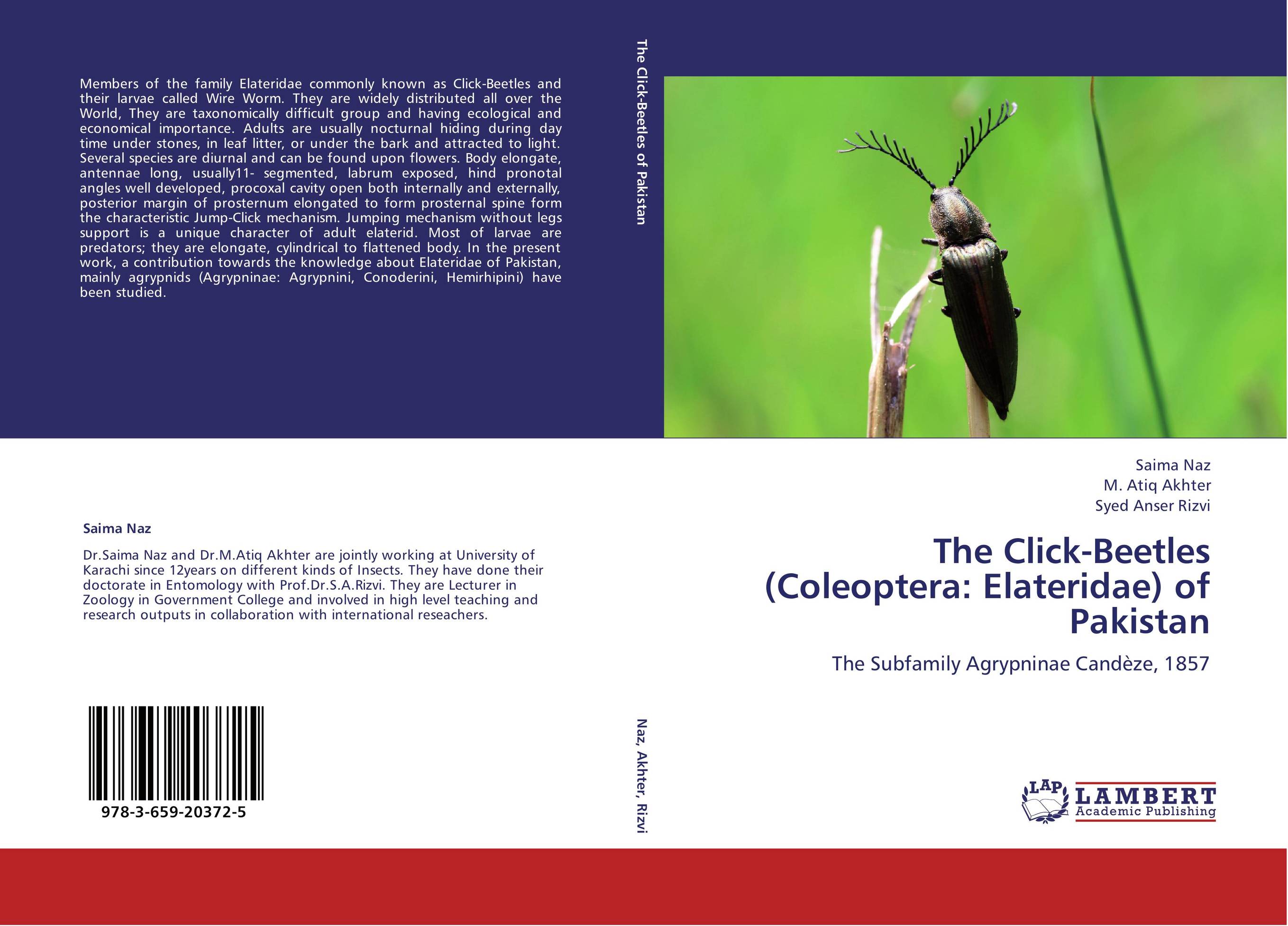 9783659203725 The ClickBeetles Coleoptera Elateridae of Pakistan Saima Naz 9783659203725 The ClickBeetles Coleoptera Elateridae of Pakistan Saima Naz