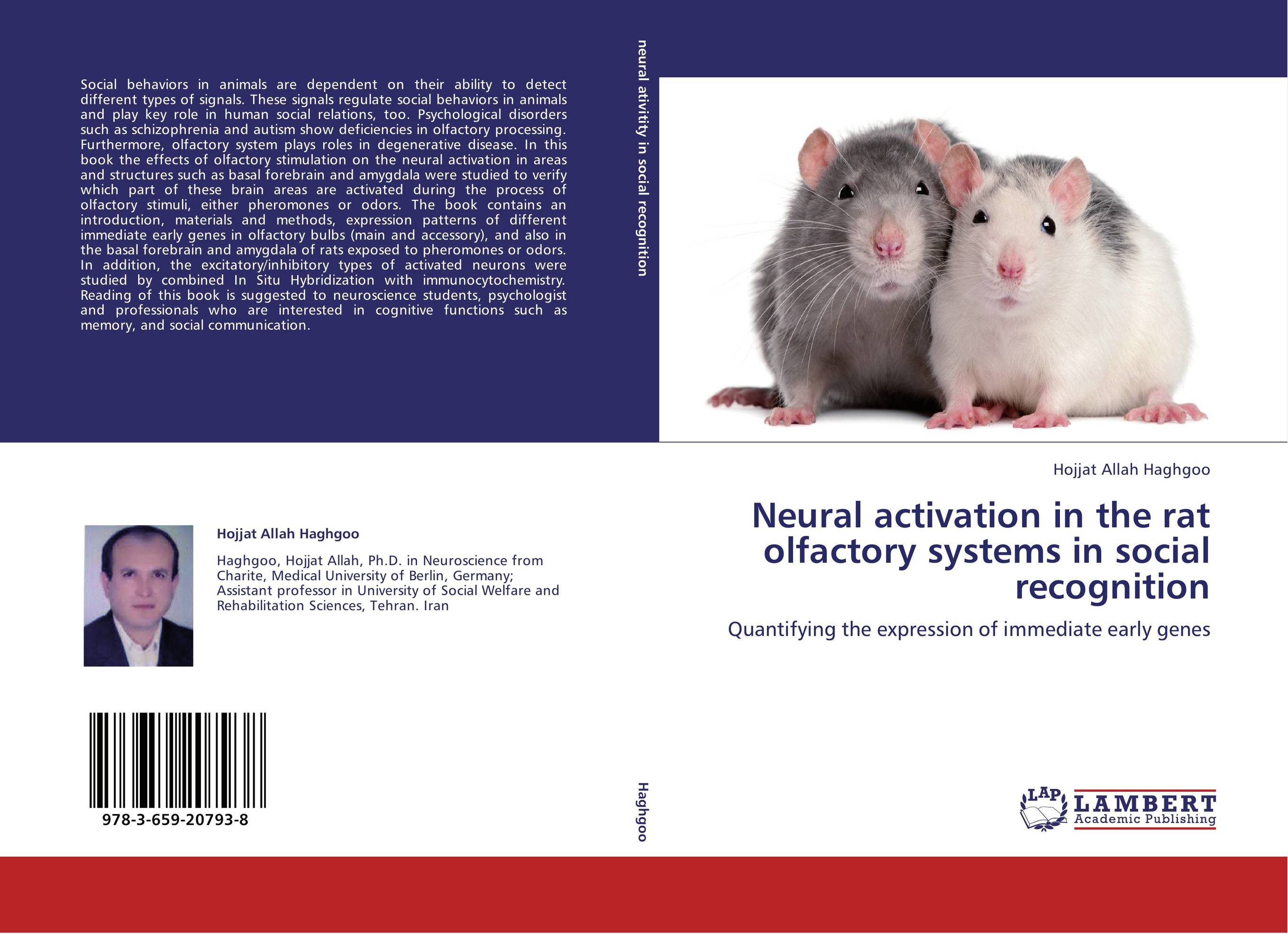 Neural activation in the rat olfactory systems in social recognition. Quantifying the expression of immediate early genes.