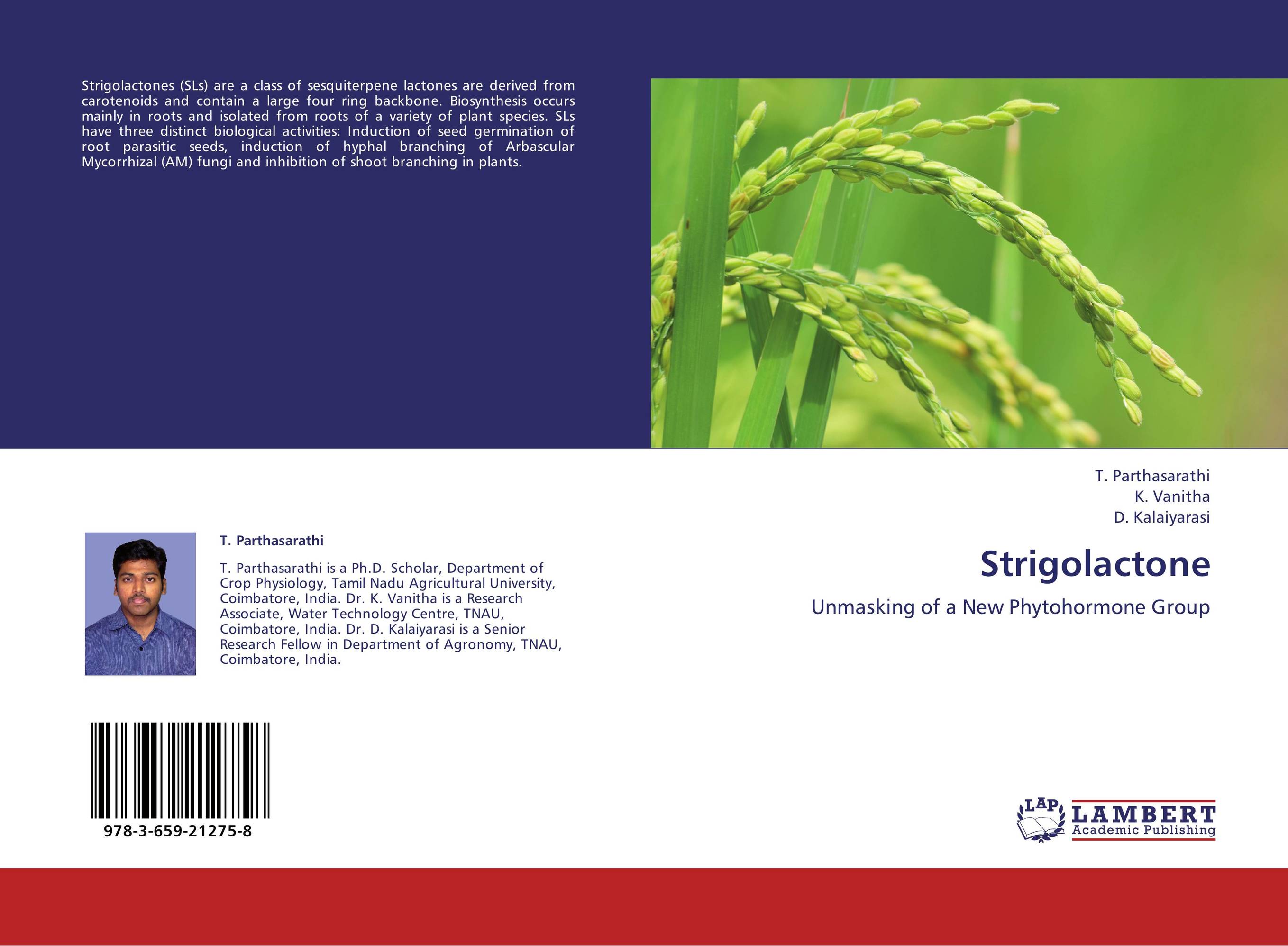 Strigolactone. Unmasking of a New Phytohormone Group.