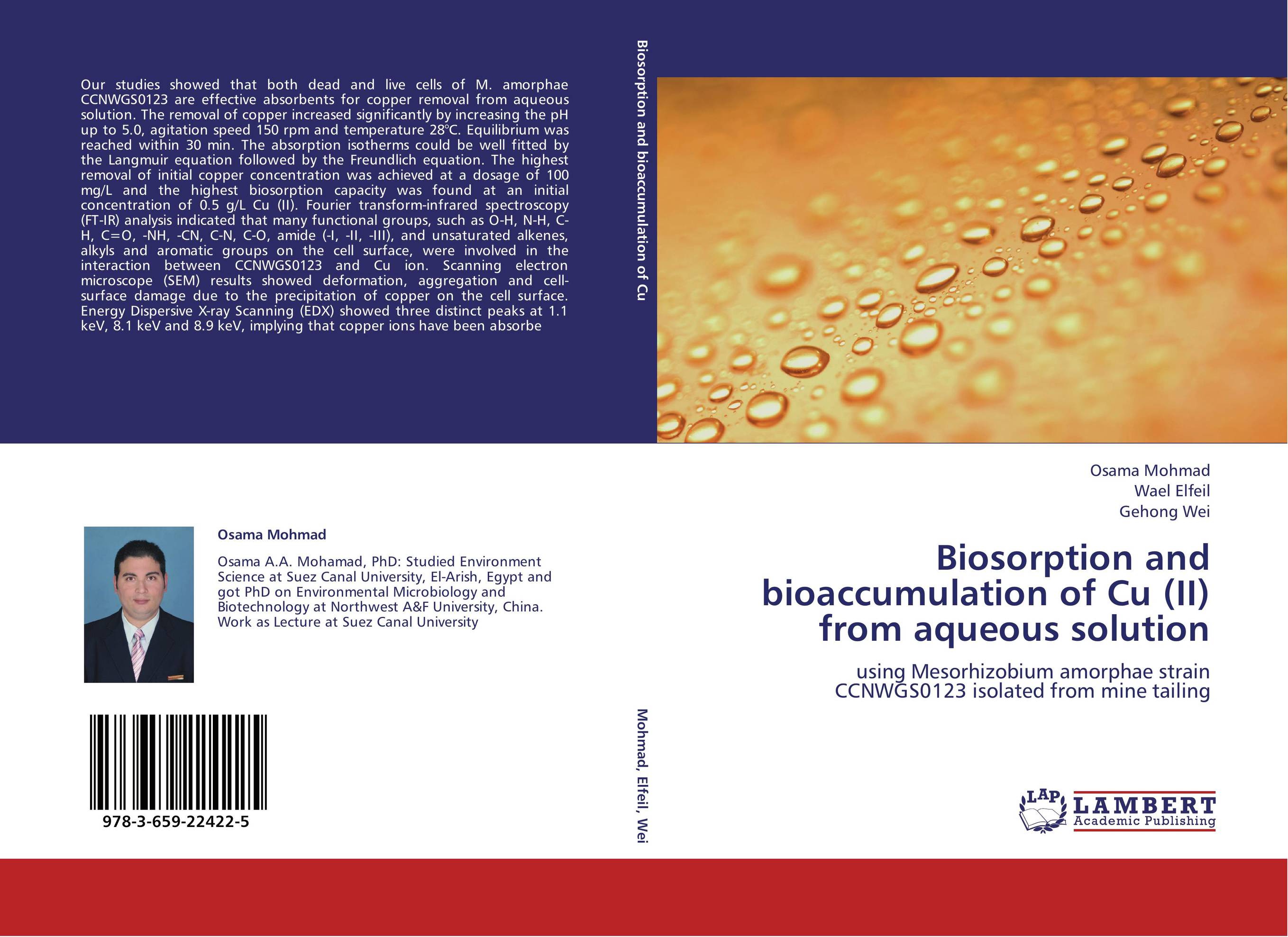 Biosorption and bioaccumulation of Cu (II) from aqueous solution. Using Mesorhizobium amorphae strain CCNWGS0123 isolated from mine tailing.