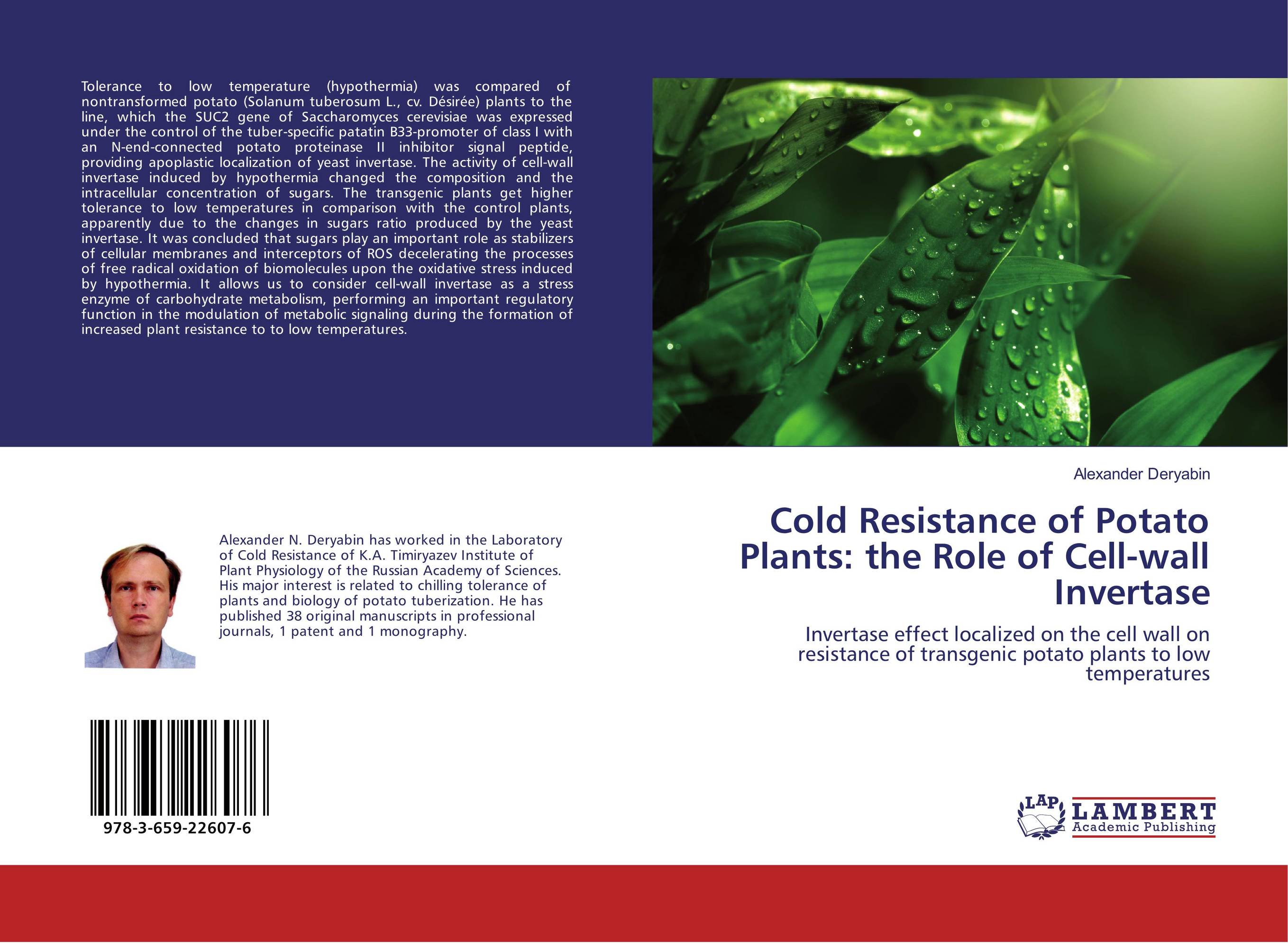 Cold Resistance of Potato Plants: the Role of Cell-wall Invertase. Invertase effect localized on the cell wall on resistance of transgenic potato plants to low temperatures.