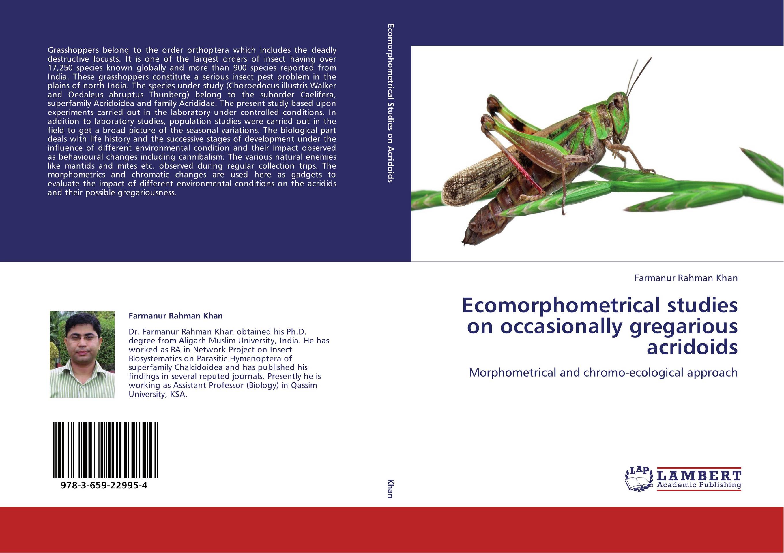 Ecomorphometrical studies on occasionally gregarious acridoids. Morphometrical and chromo-ecological approach.