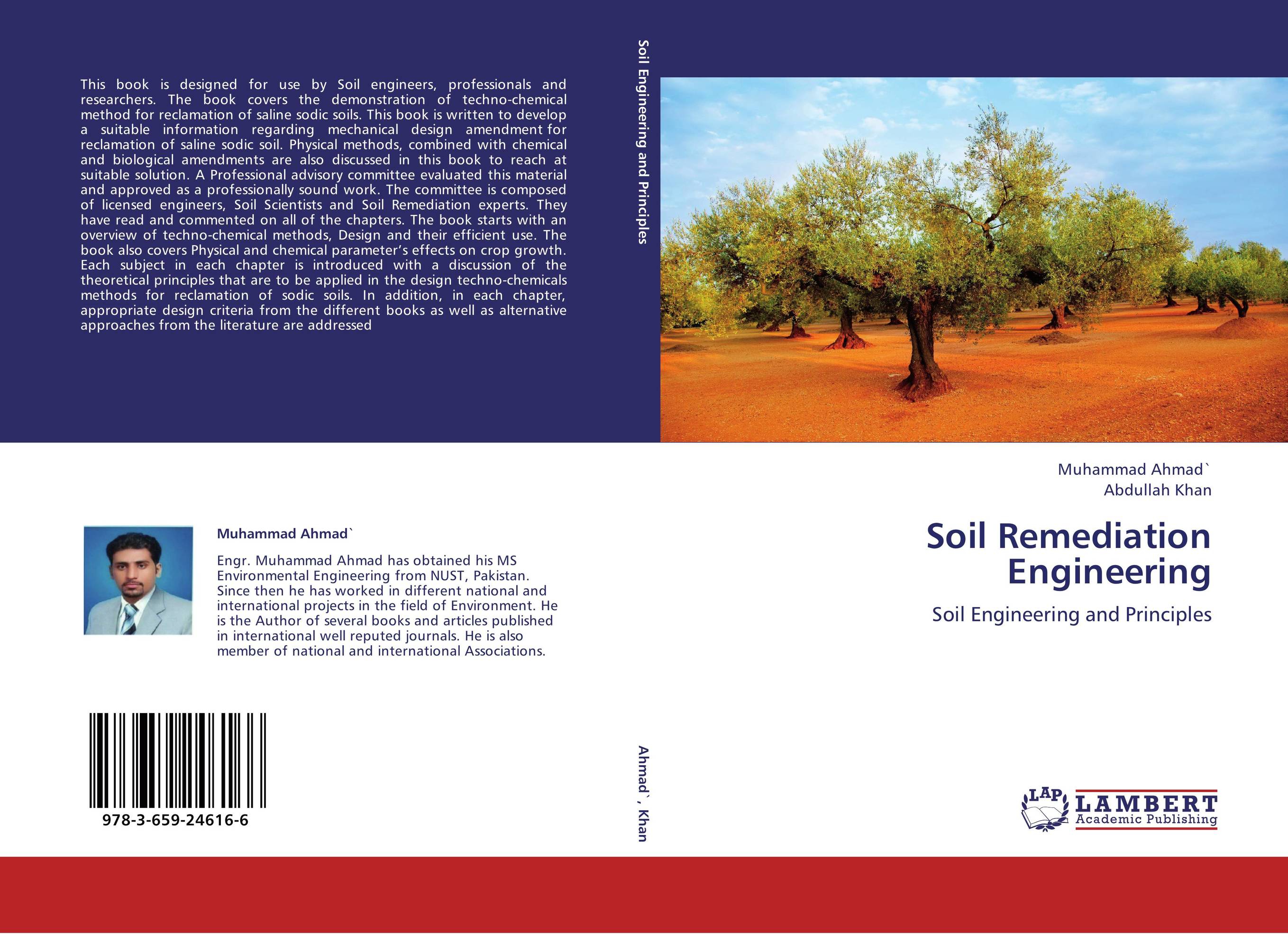 Soil Remediation Engineering. Soil Engineering and Principles.