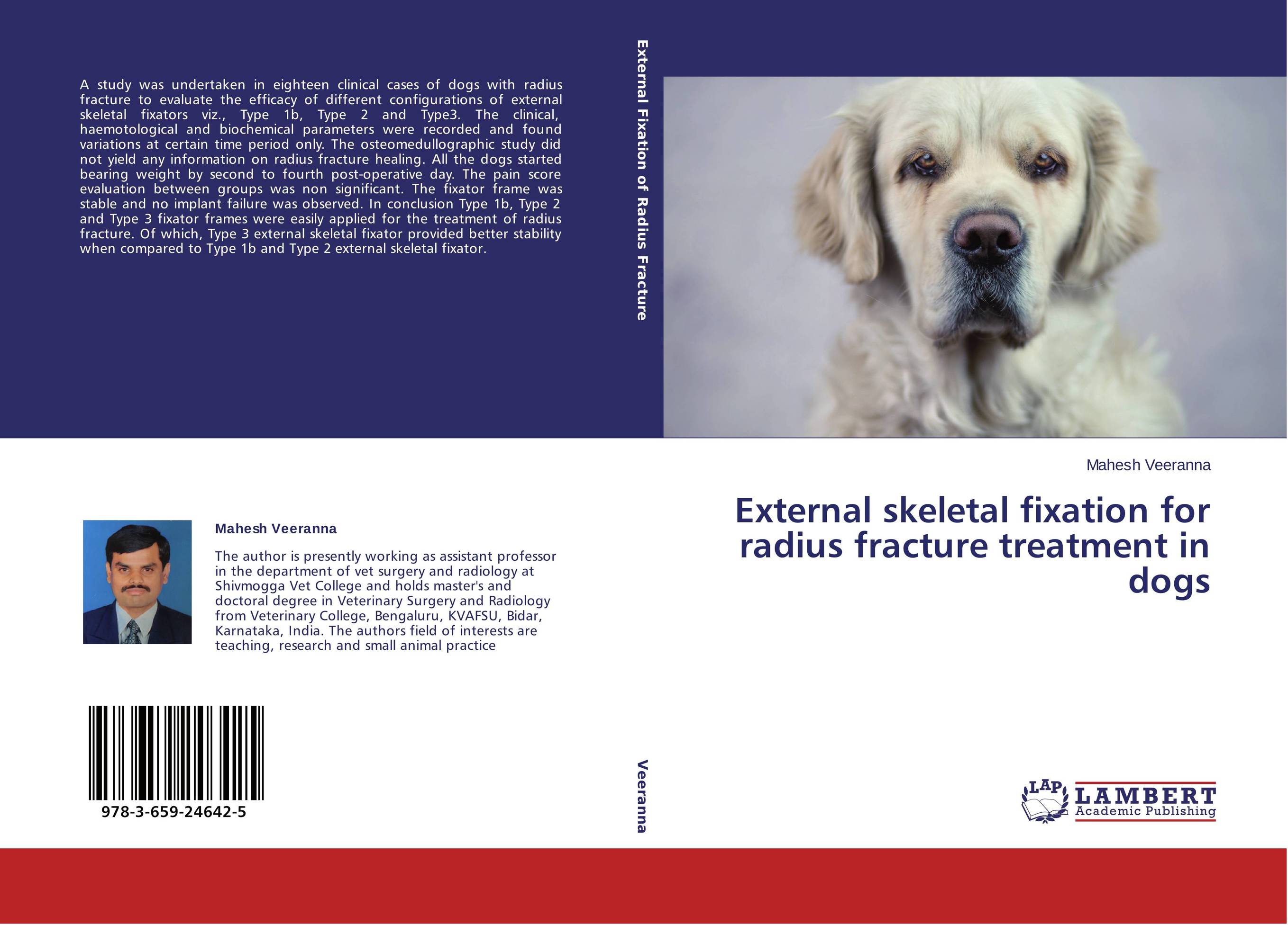 External skeletal fixation for radius fracture treatment in dogs..