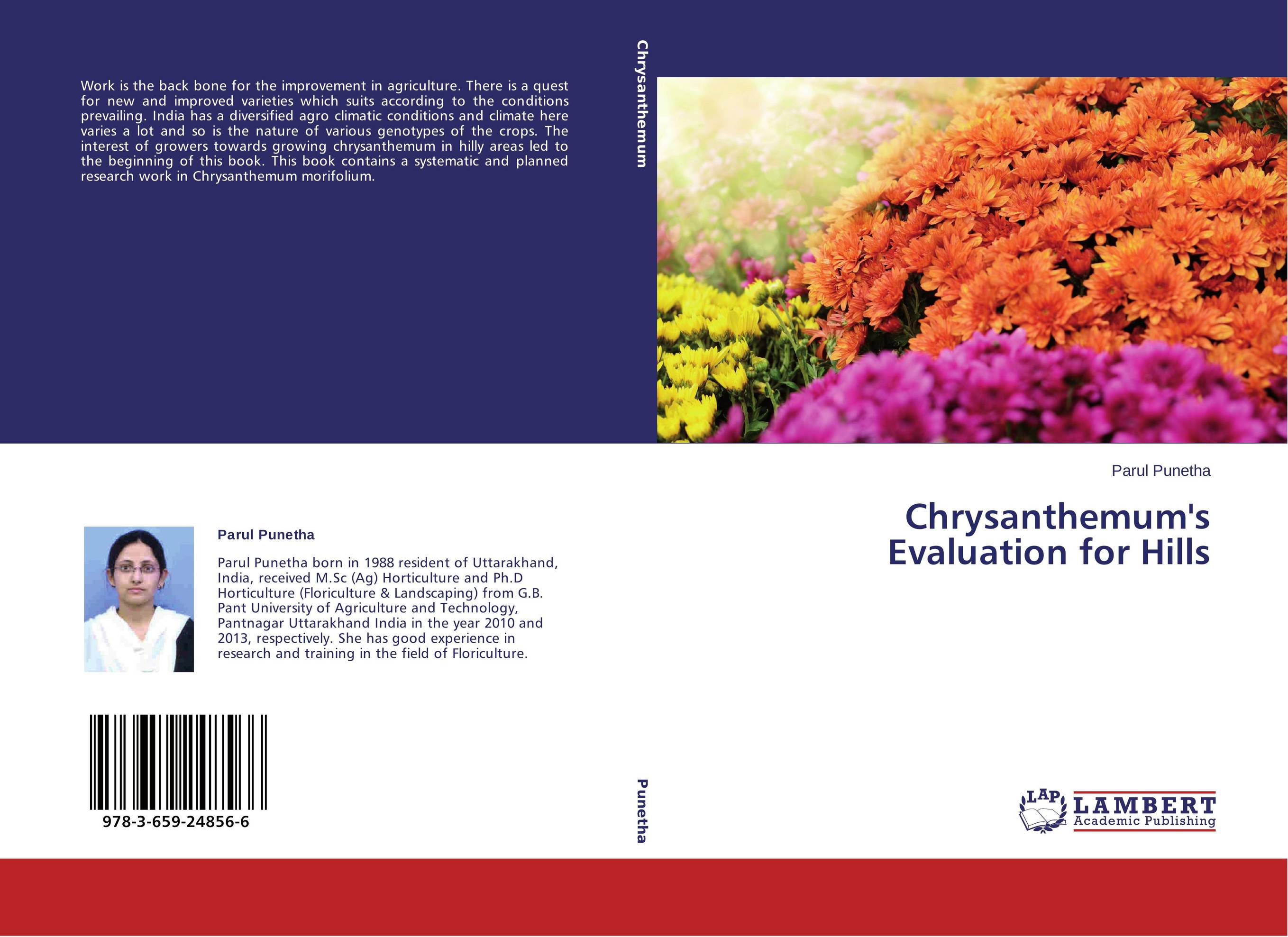 Chrysanthemum's Evaluation for Hills..