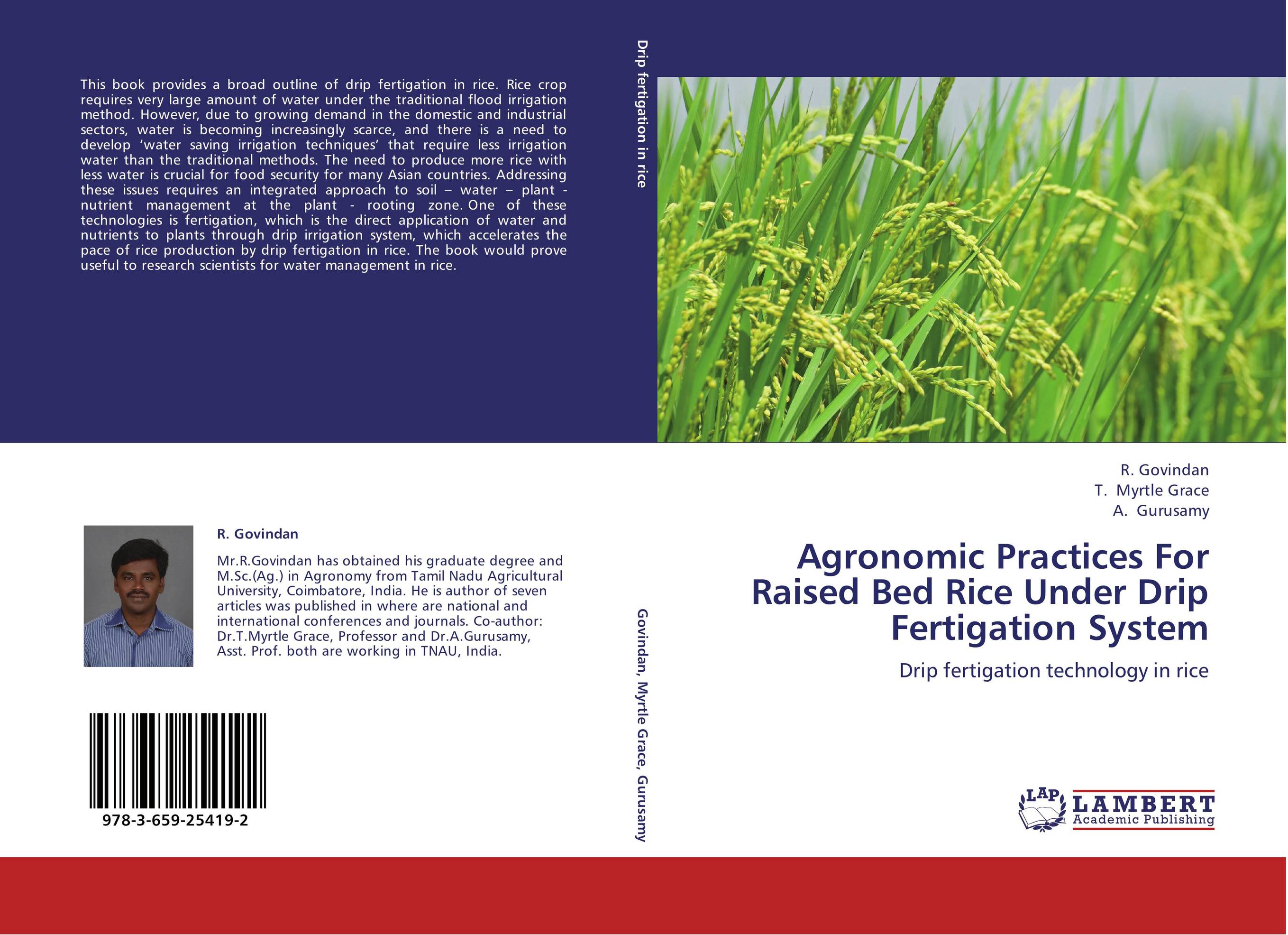 Agronomic Practices For Raised Bed Rice Under Drip Fertigation System. Drip fertigation technology in rice.